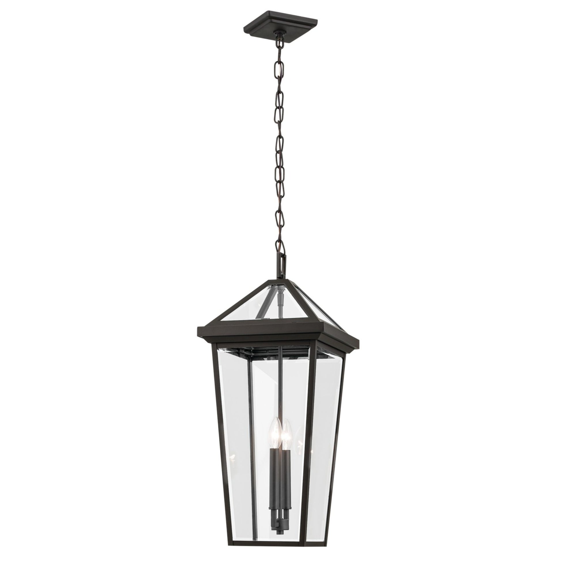 Regence 26" 2-Light Outdoor Pendant, Olde Bronze Finish - Bees Lighting