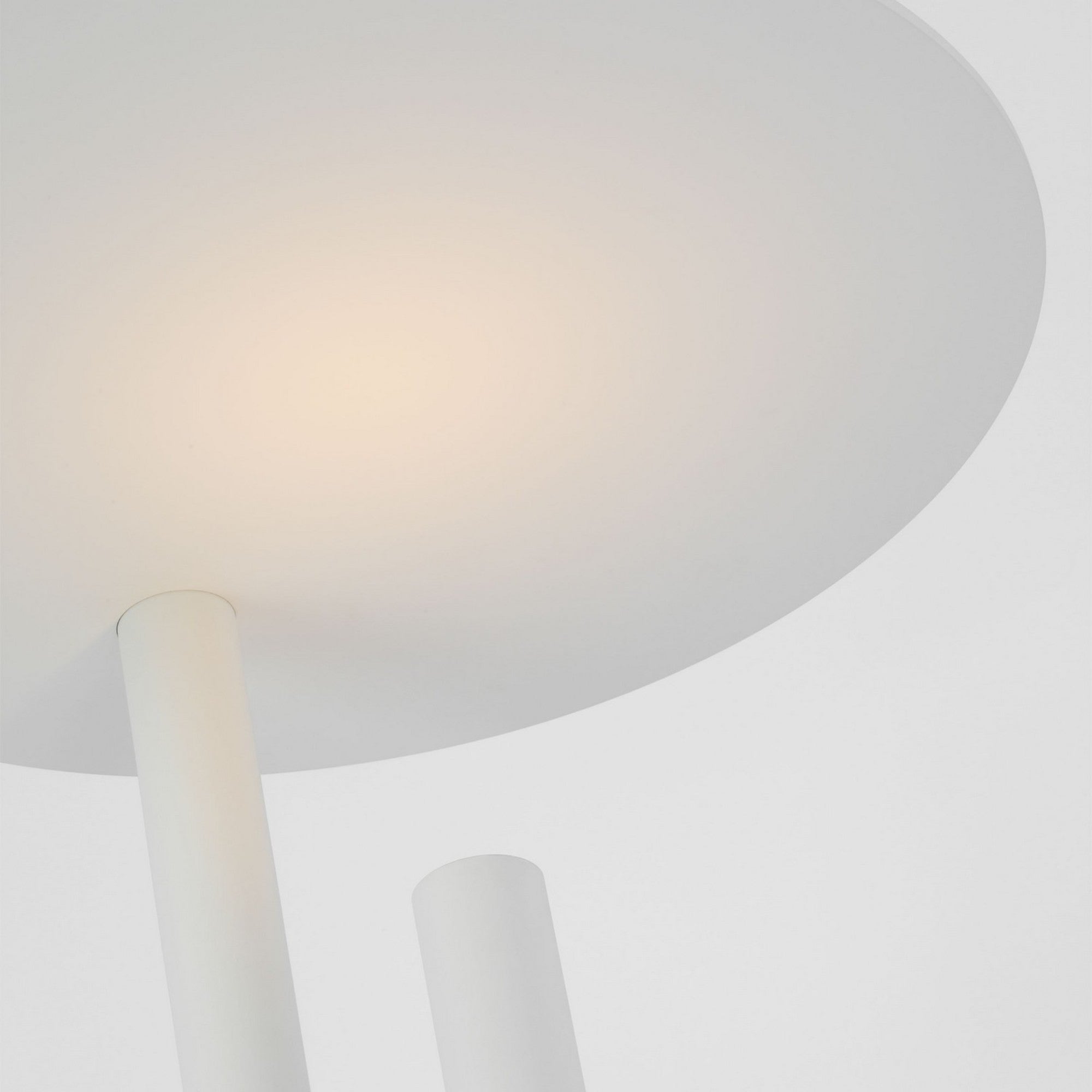 Fielle 65" LED Floor Lamp, 120-240V, Soft White Finish - Bees Lighting