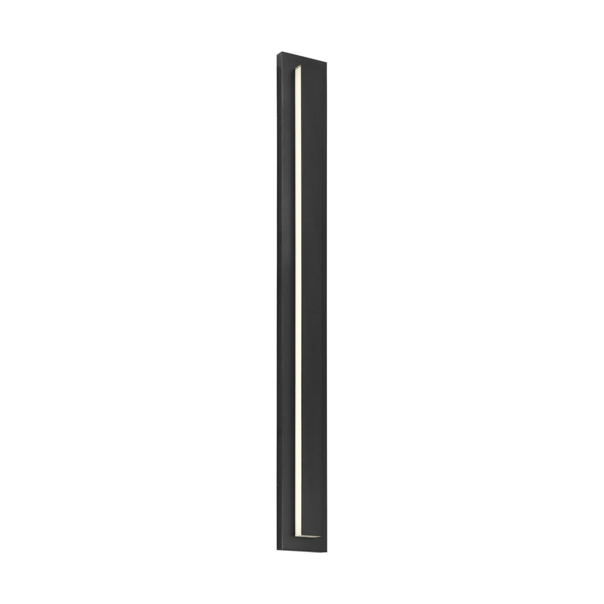 Aspen 48" LED Outdoor Wall Light, 120-277V, Black Finish - Bees Lighting