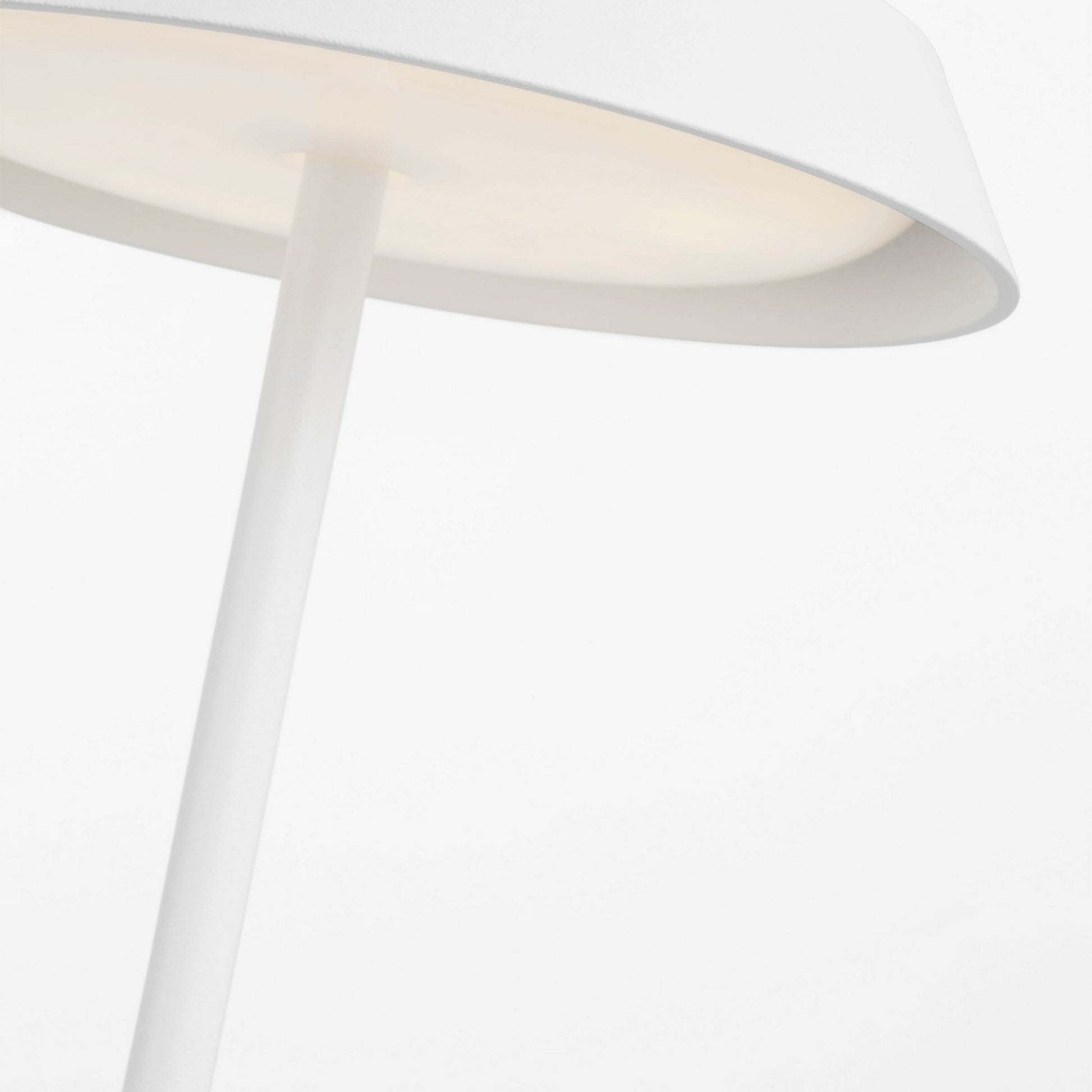 Tepa Accent Rechargeable Table Lamp, 120-240V, Matte White Finish - Bees Lighting