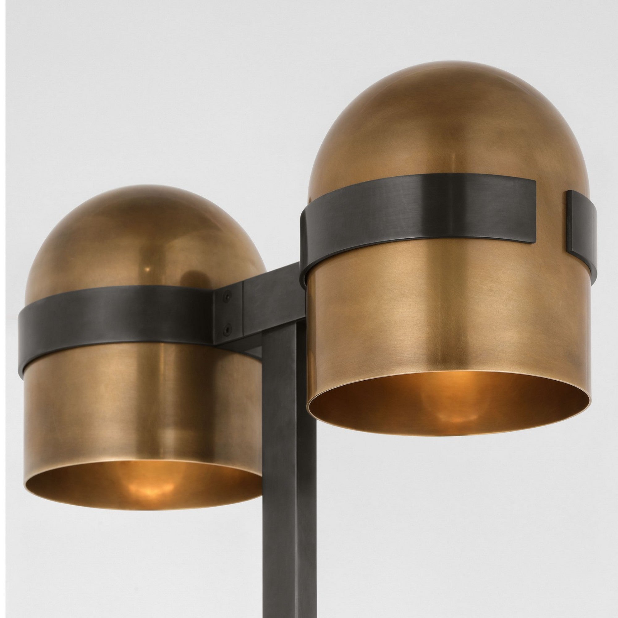 Octavia 54" 2-Light LED Medium Floor Lamp, 120-240V, Blackened Bronze & Bright Worn Brass Finish - Bees Lighting