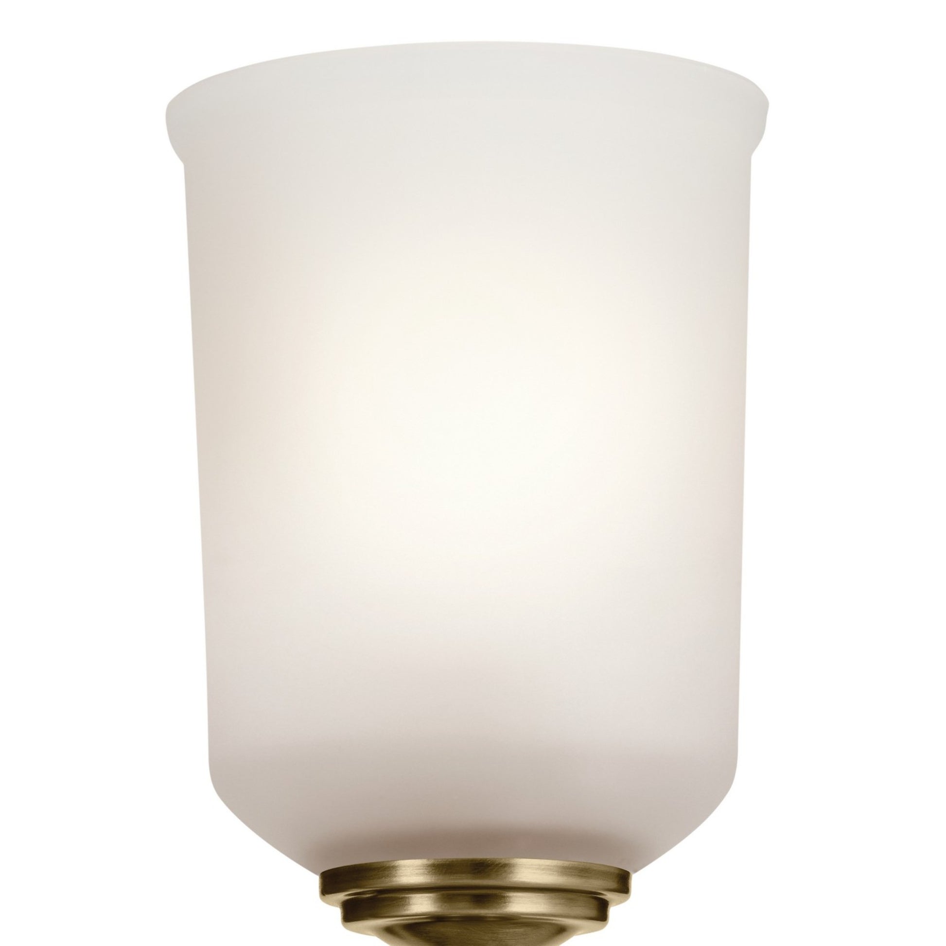 Shailene 5" Wall Sconce, Natural Brass Finish, Etched Glass - Bees Lighting