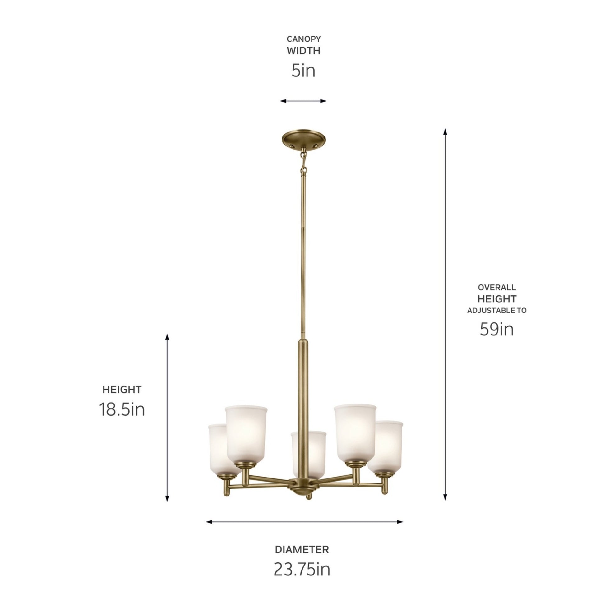 Shailene 24" 5-Light Chandelier, Natural Brass Finish, Etched Glass - Bees Lighting