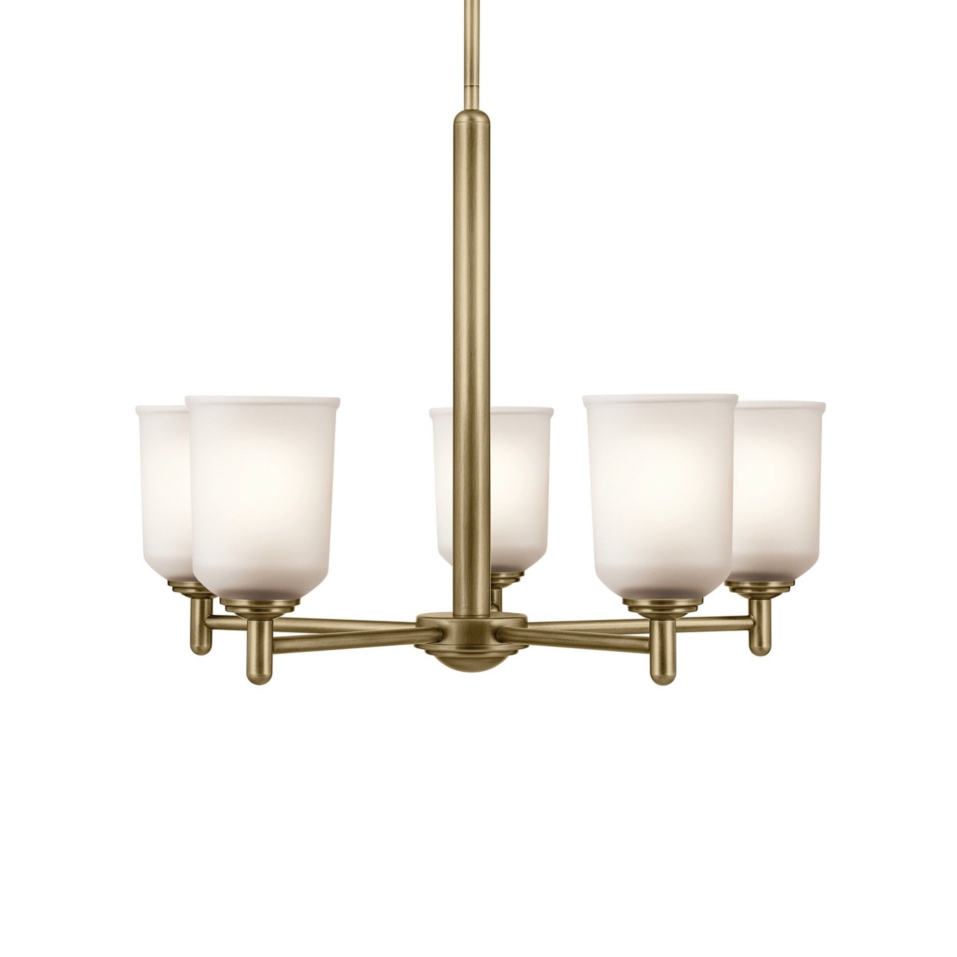 Shailene 24" 5-Light Chandelier, Natural Brass Finish, Etched Glass - Bees Lighting