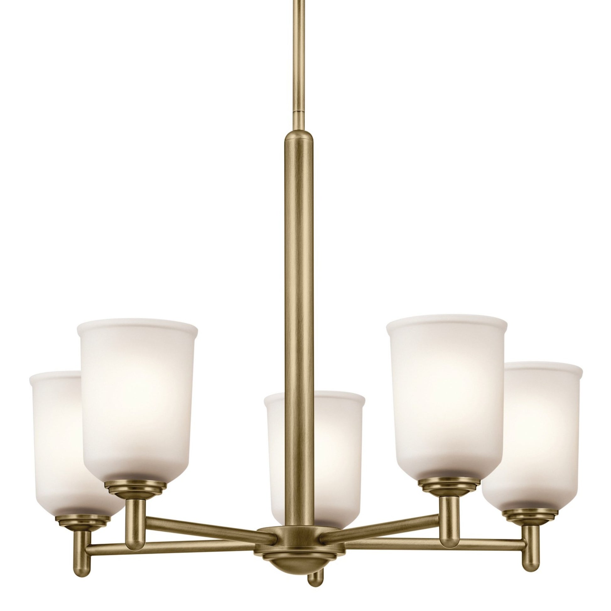 Shailene 24" 5-Light Chandelier, Natural Brass Finish, Etched Glass - Bees Lighting