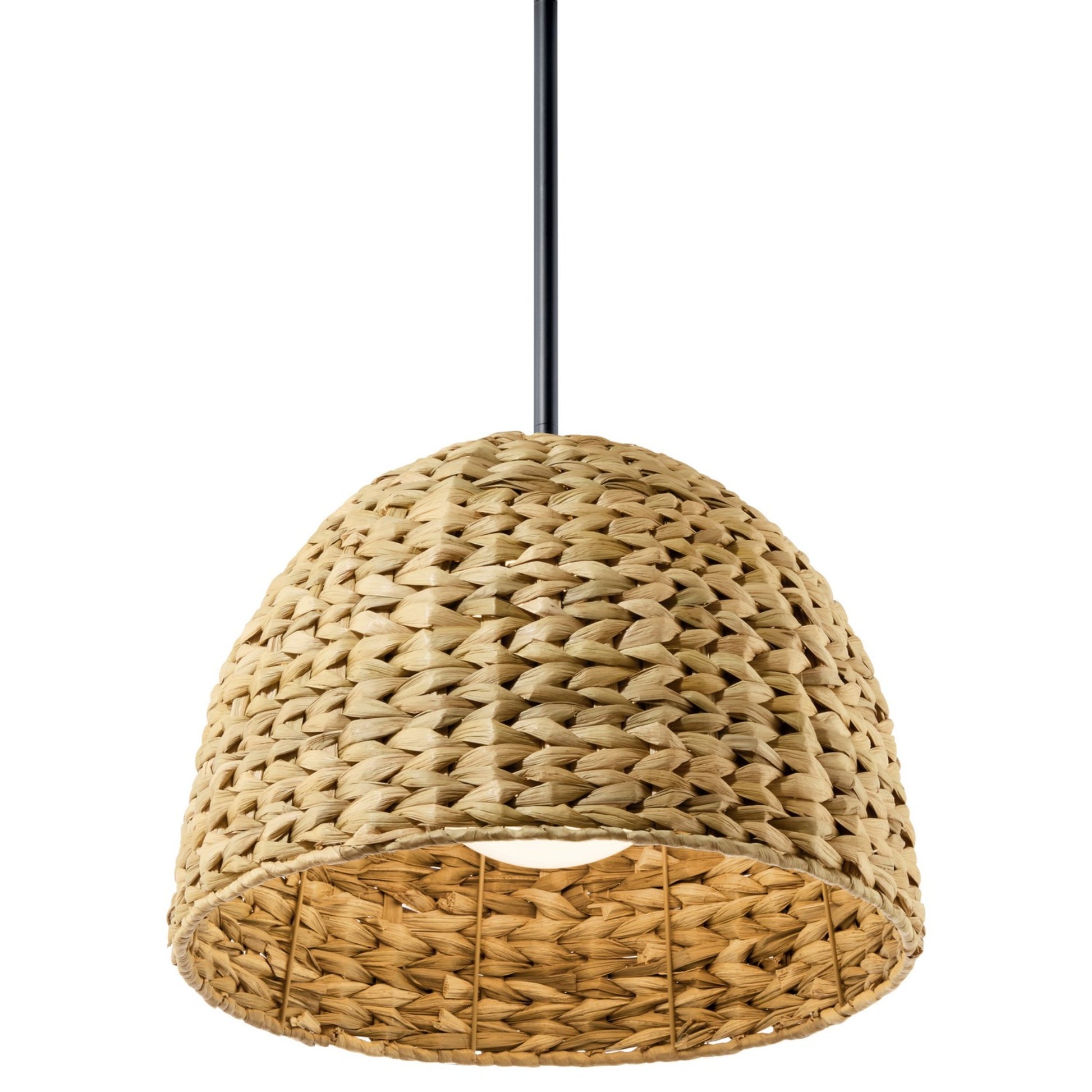 Raffiana 18" Mini Pendant, Black Finish - Bees Lighting