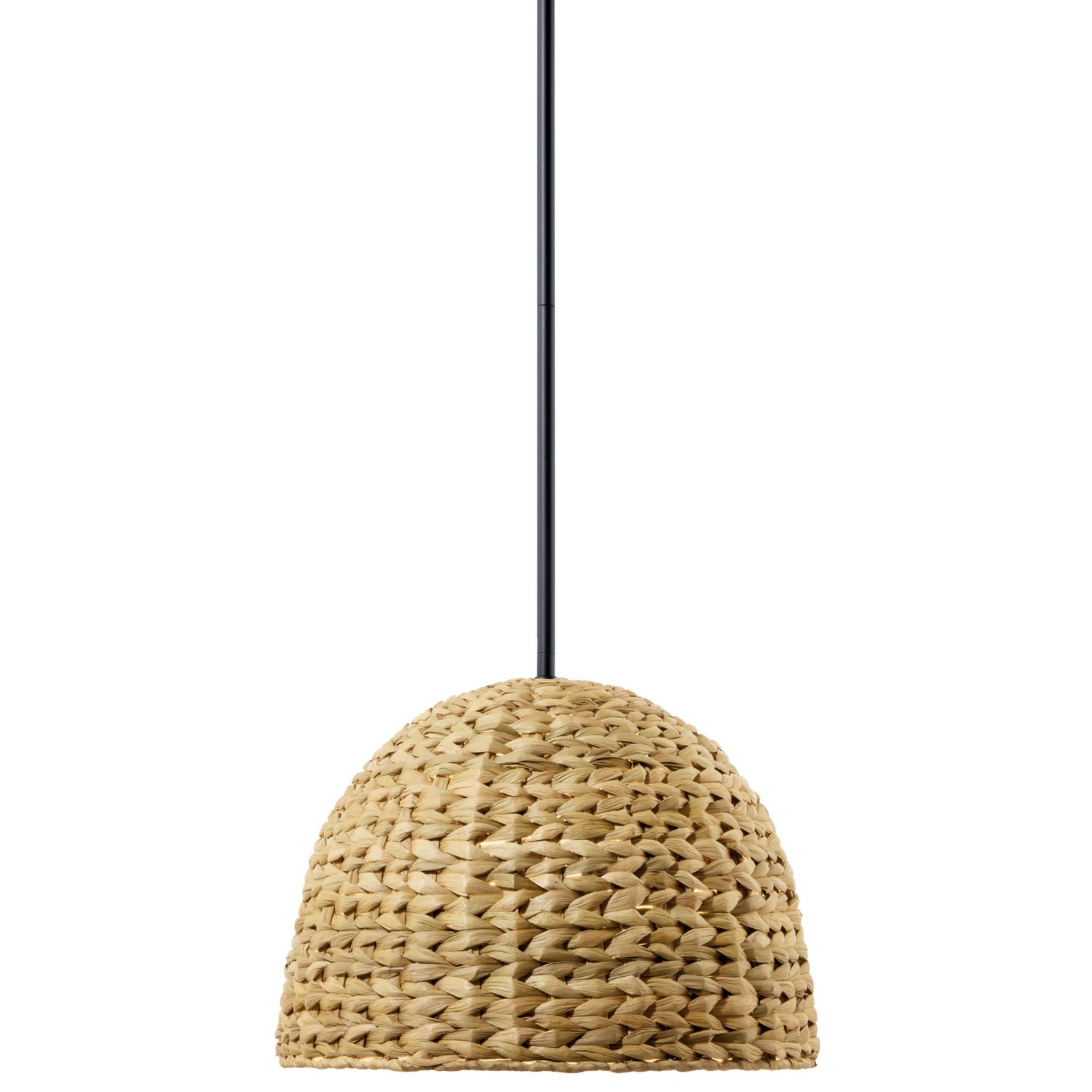 Raffiana 18" Mini Pendant, Black Finish - Bees Lighting