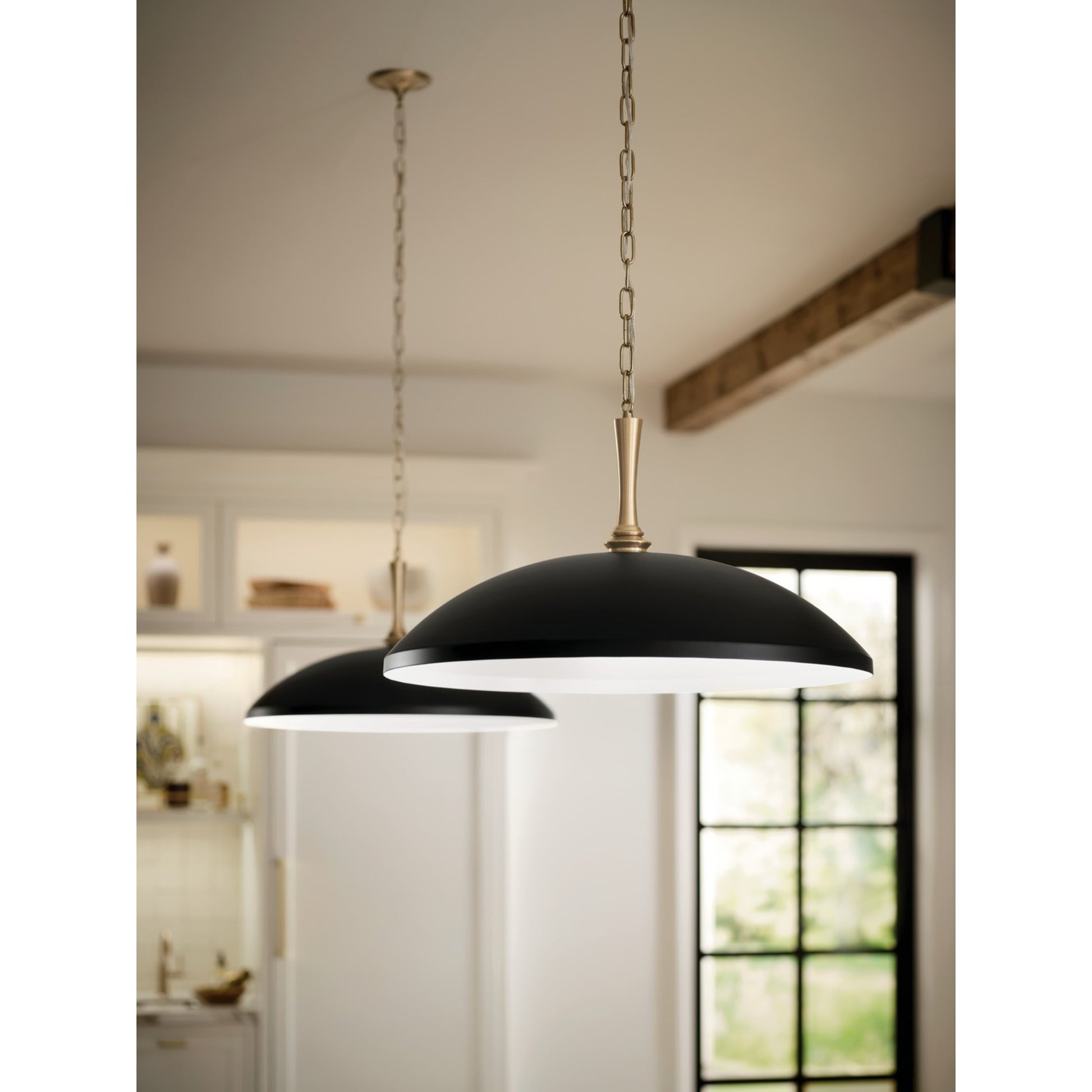 Delarosa 20" Pendant, Black Finish - Bees Lighting