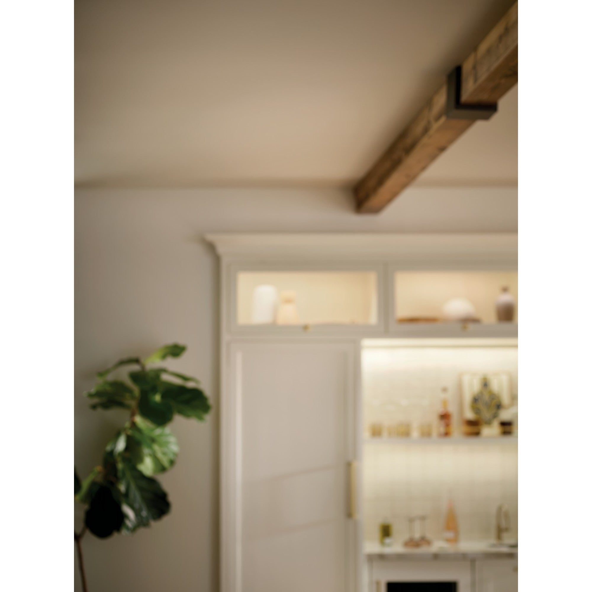 Delarosa 20" Pendant, Black Finish - Bees Lighting
