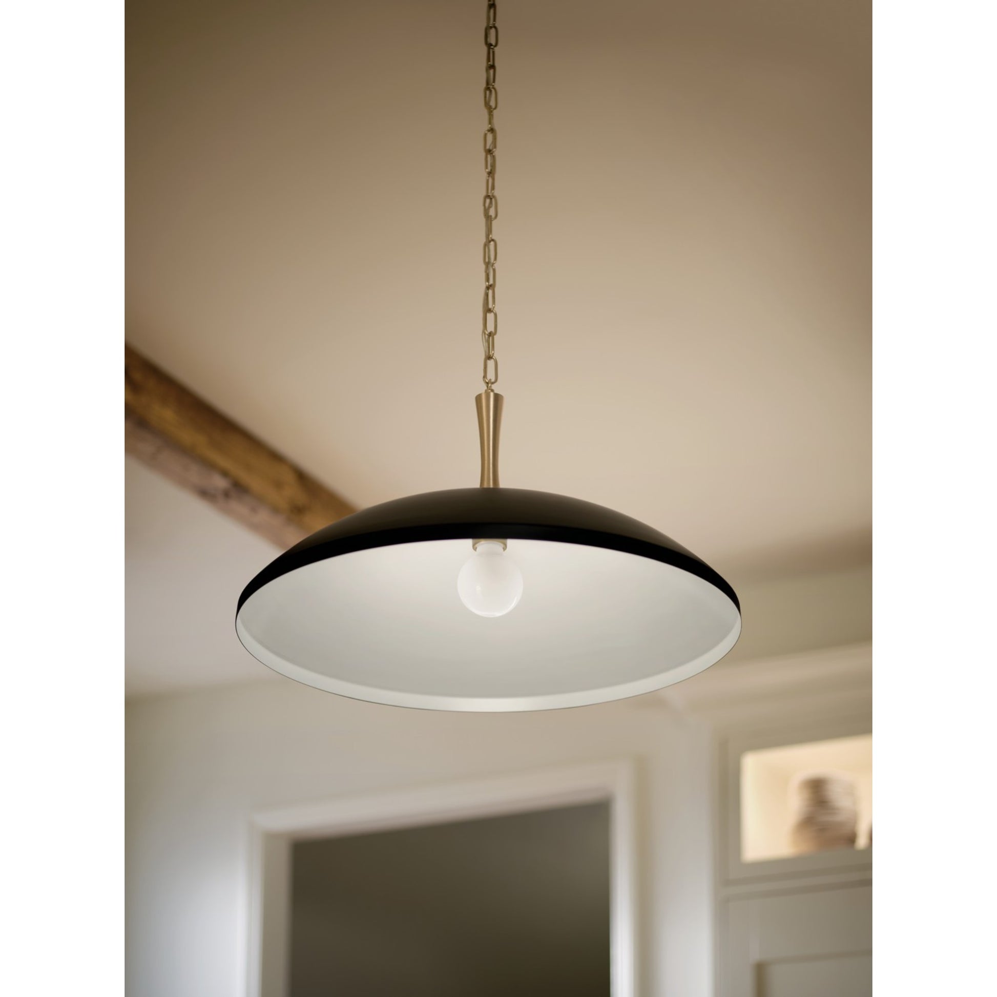 Delarosa 20" Pendant, Black Finish - Bees Lighting