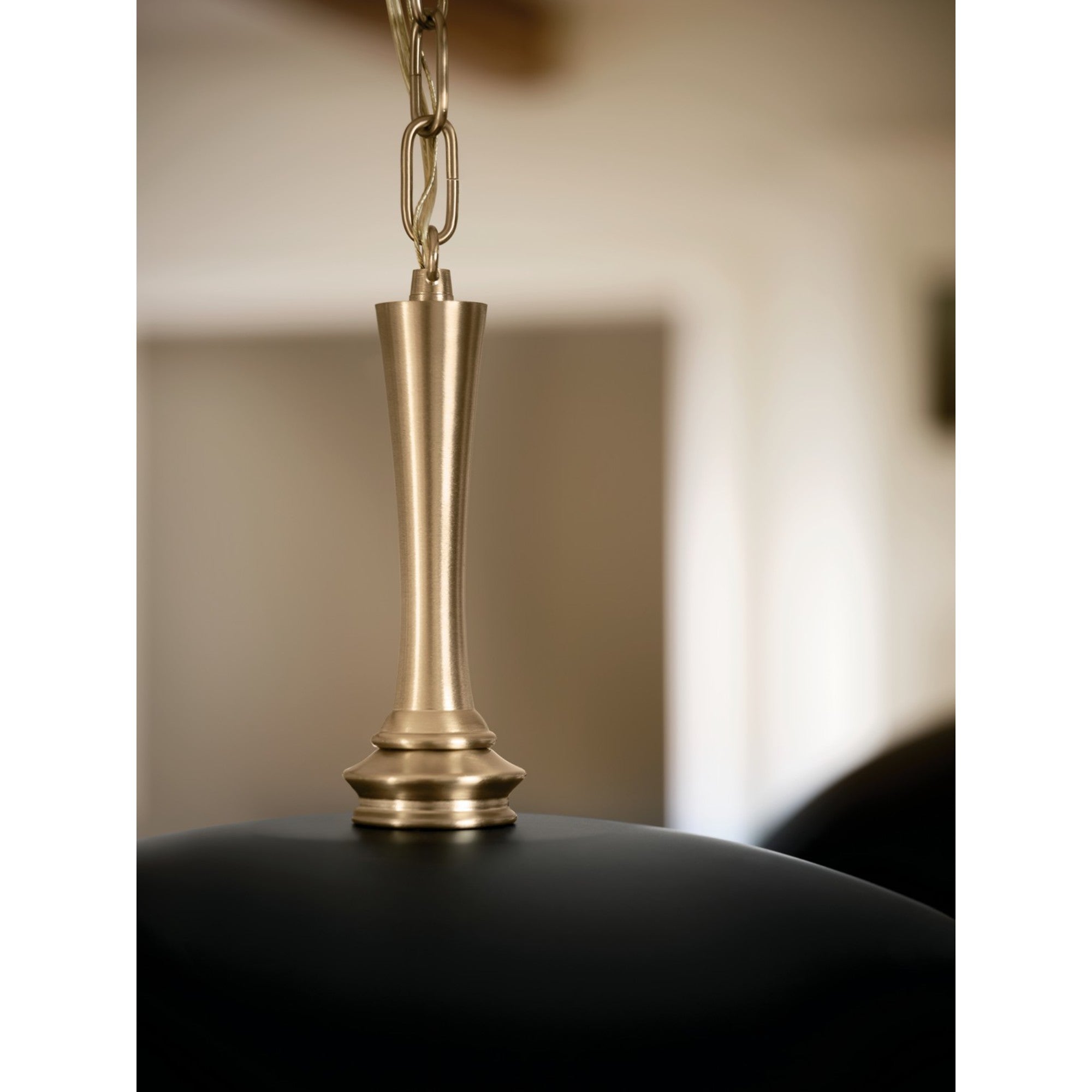 Delarosa 20" Pendant, Black Finish - Bees Lighting