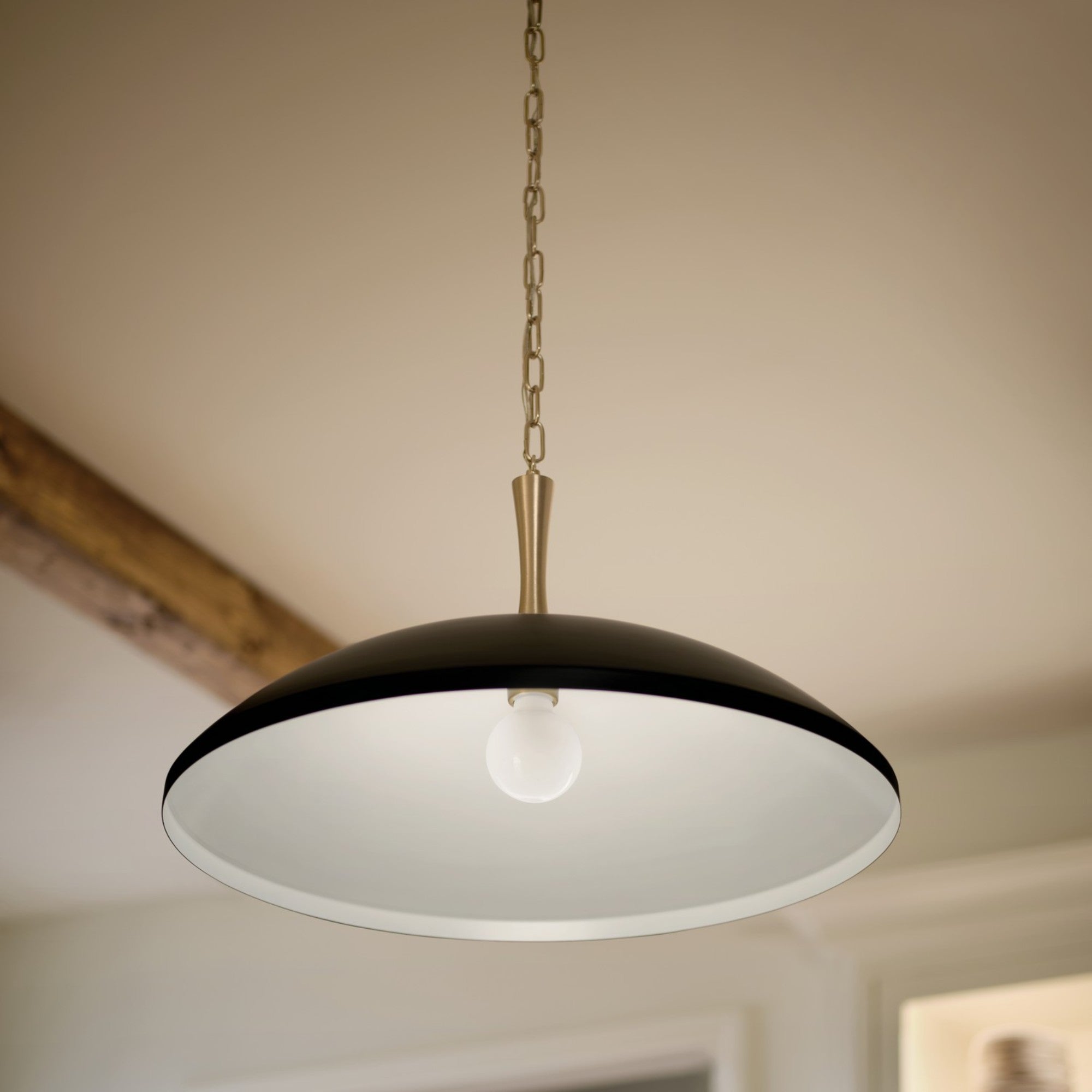 Delarosa 20" Pendant, Black Finish - Bees Lighting