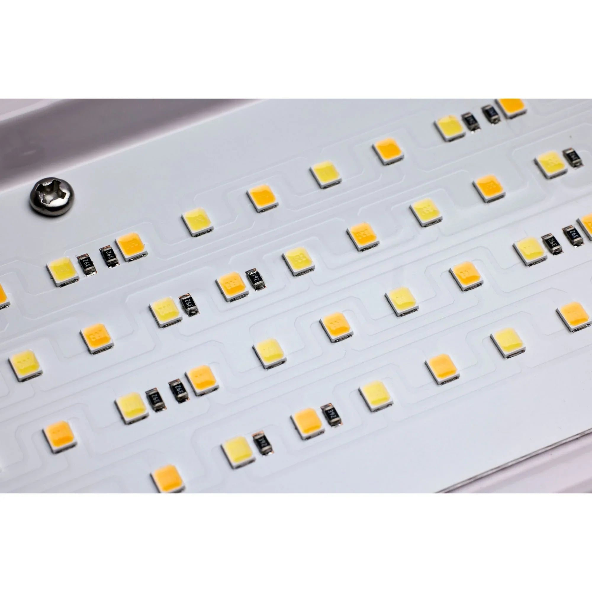 LED Linear High Bay Light, 155W, 21714 Lumens, Selectable CCT, 120-277V - Bees Lighting