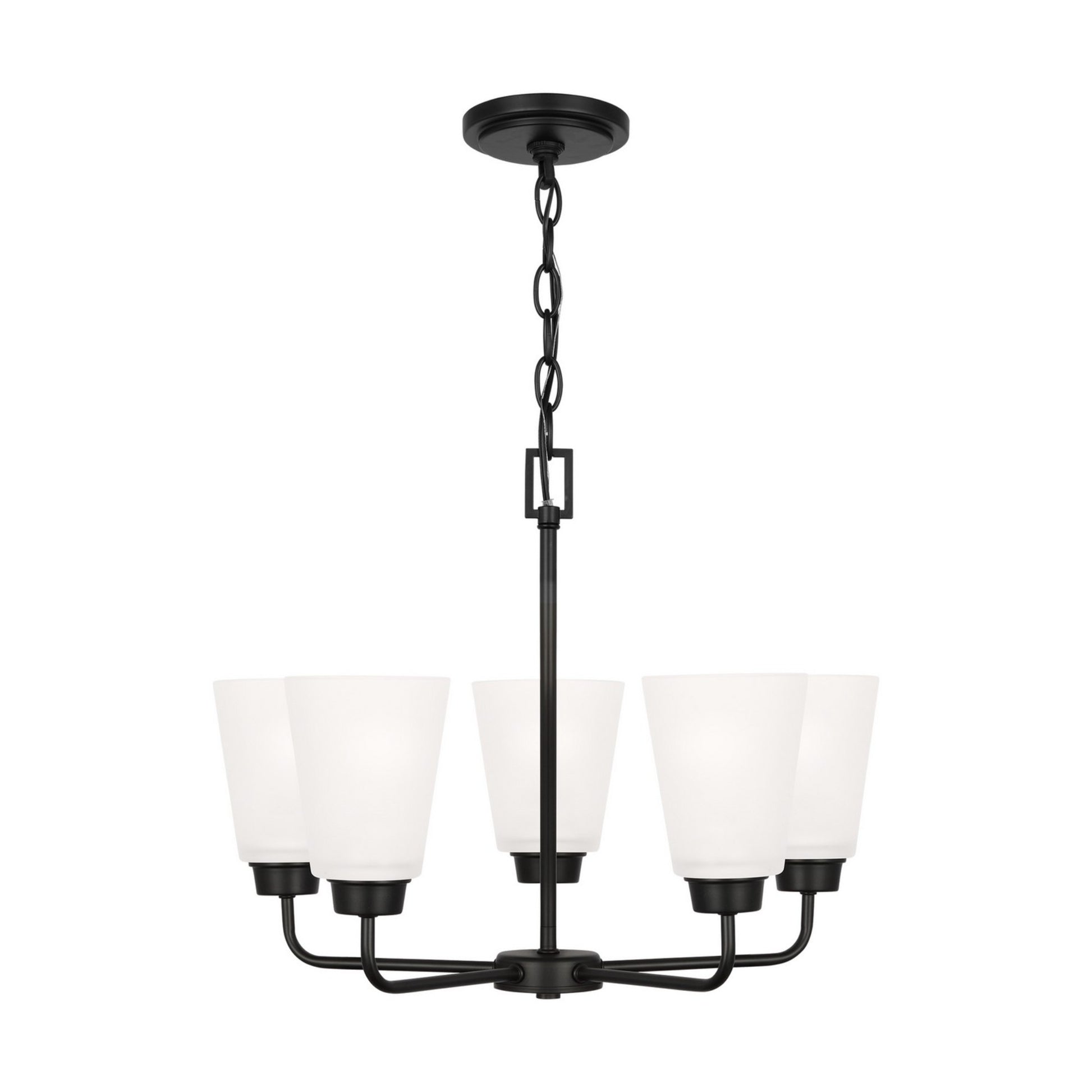 Kerrville 20" 5-Light Chandelier, Midnight Black Finish - Bees Lighting