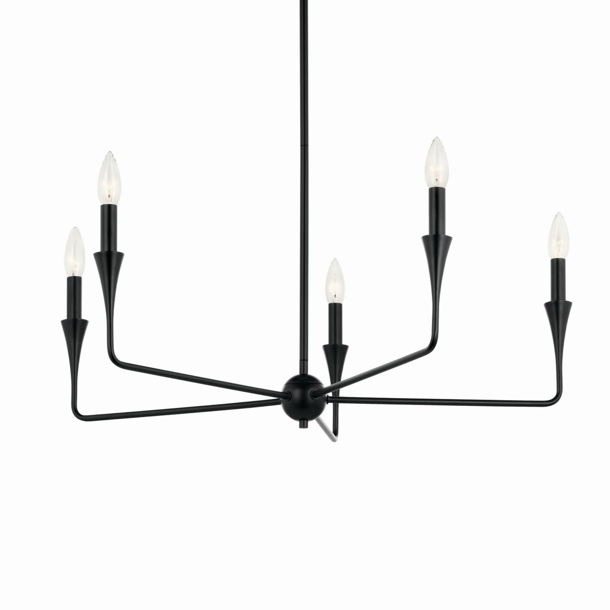 Alvaro 30" 5-Light Chandelier, Black Finish - Bees Lighting