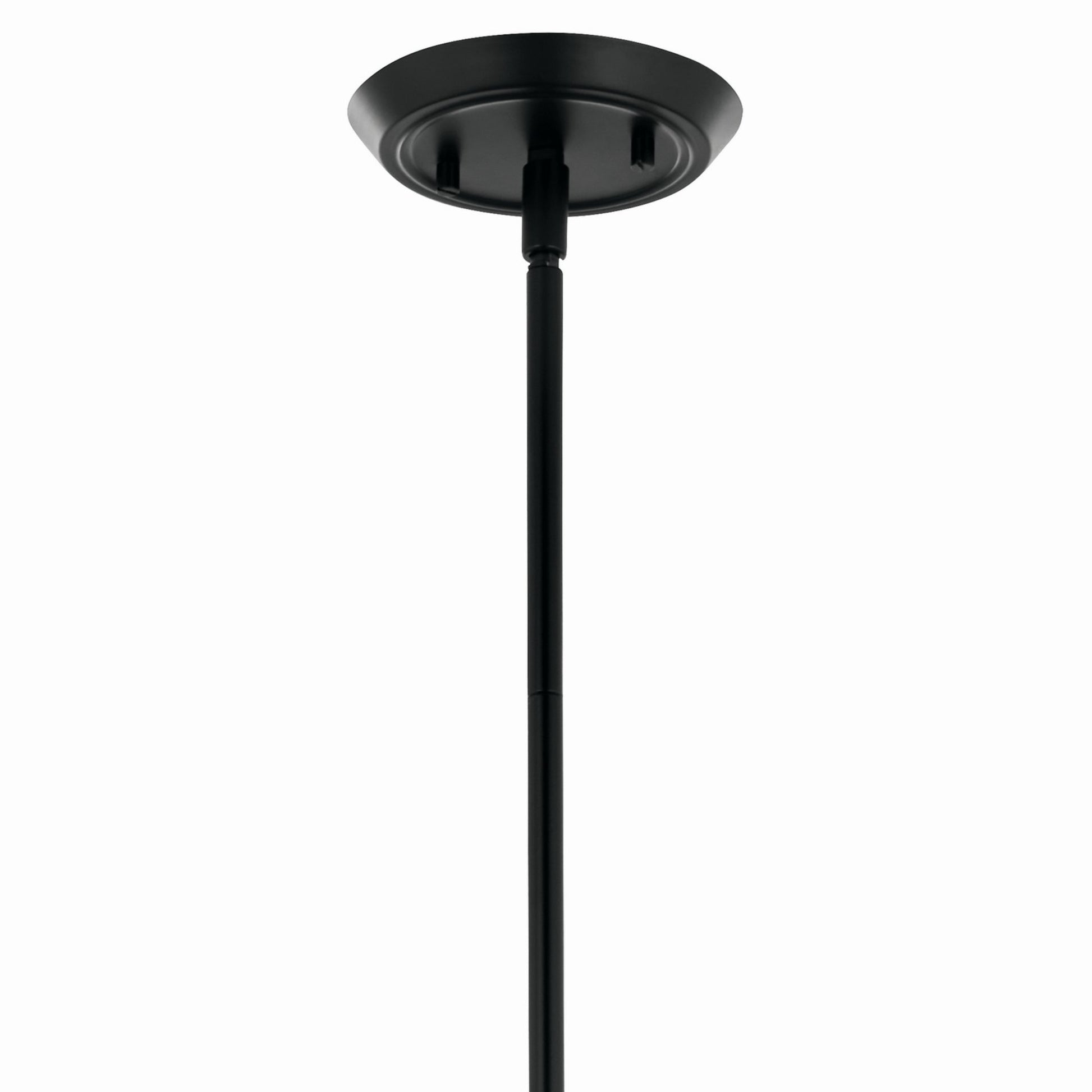 Alvaro 30" 5-Light Chandelier, Black Finish - Bees Lighting