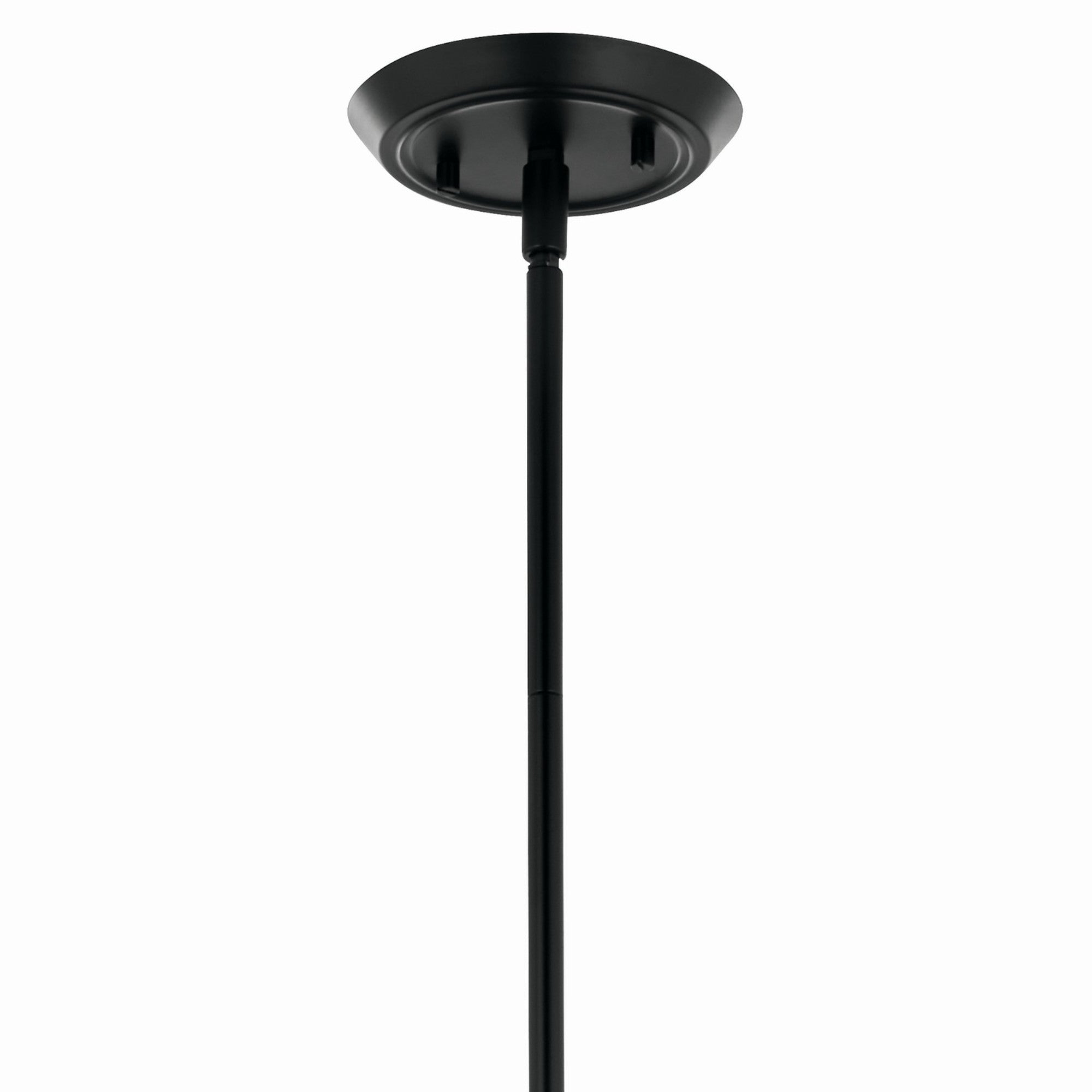 Alvaro 30" 5-Light Chandelier, Black Finish - Bees Lighting
