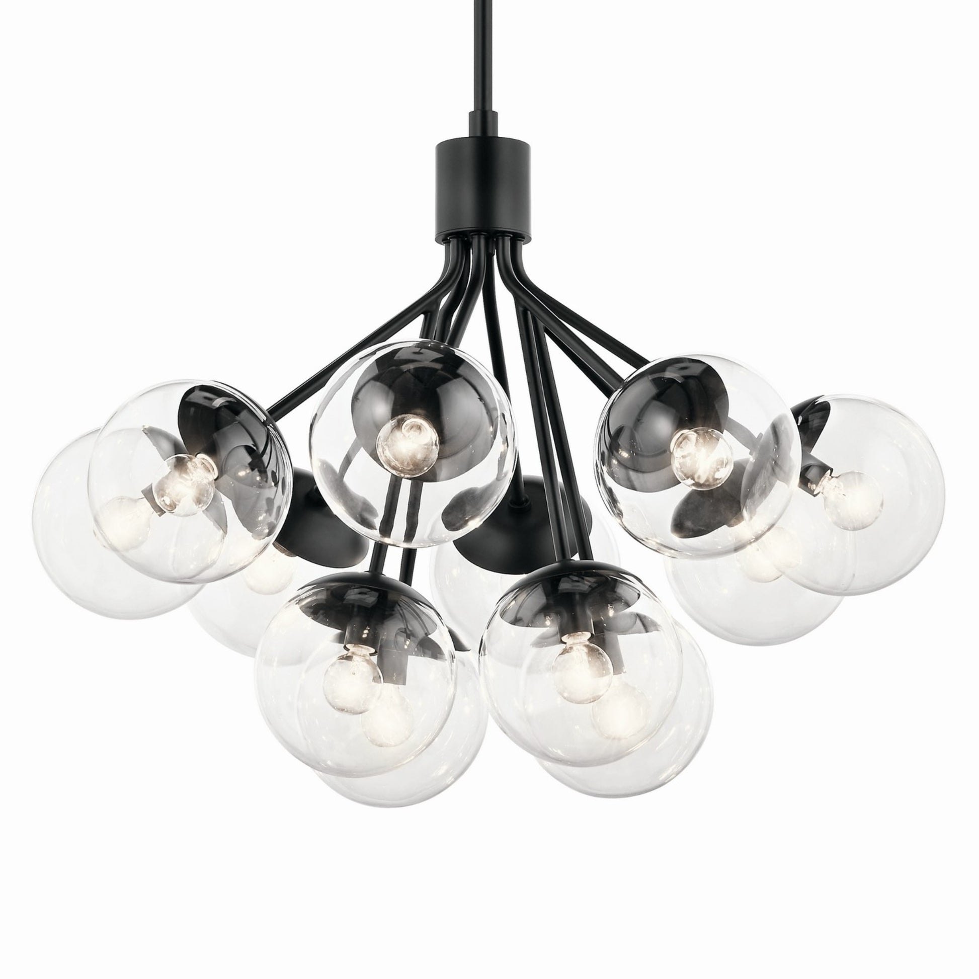 Silvarious 30" 12-Light Chandelier, Black Finish, Clear Glass - Bees Lighting