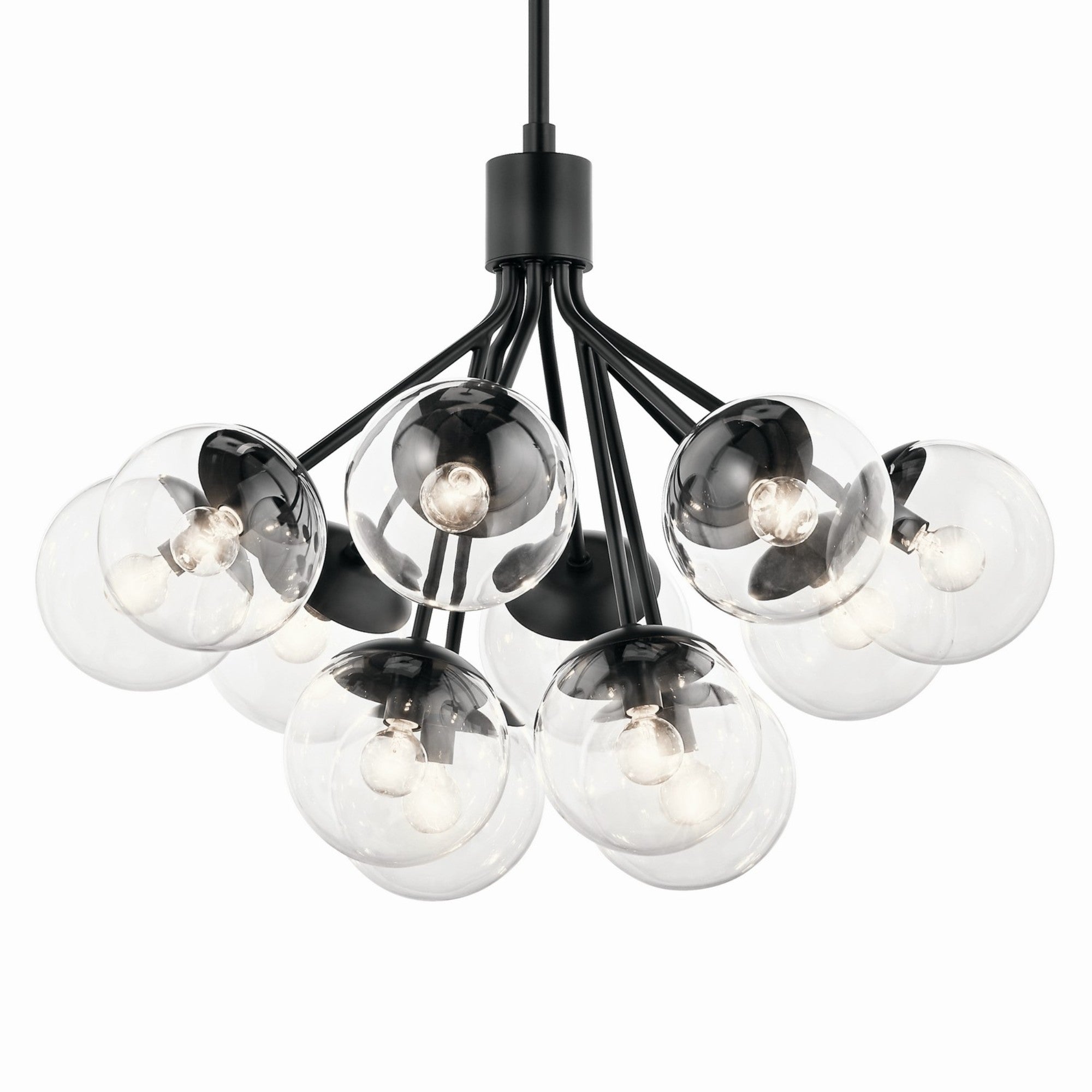 Silvarious 30" 12-Light Chandelier, Black Finish, Clear Glass - Bees Lighting