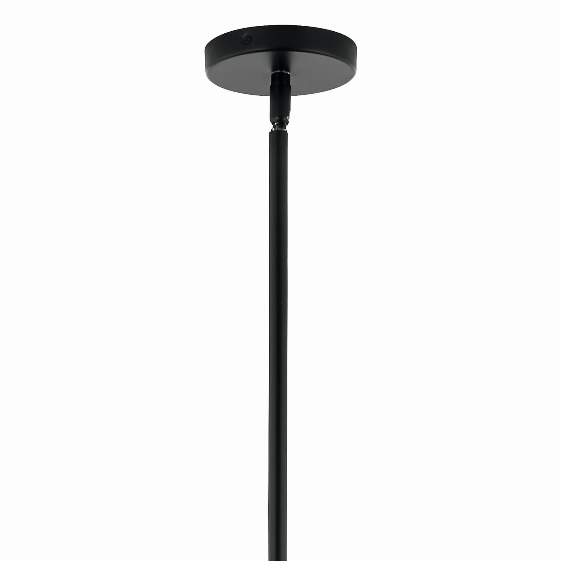 Silvarious 30" 12-Light Chandelier, Black Finish, Clear Glass - Bees Lighting