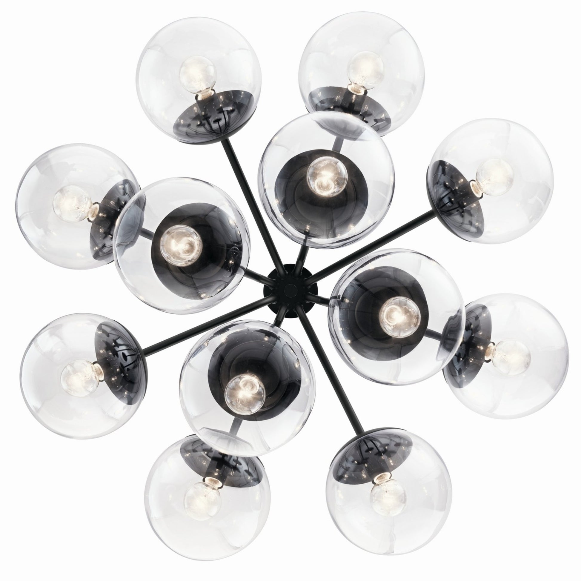 Silvarious 30" 12-Light Chandelier, Black Finish, Clear Glass - Bees Lighting