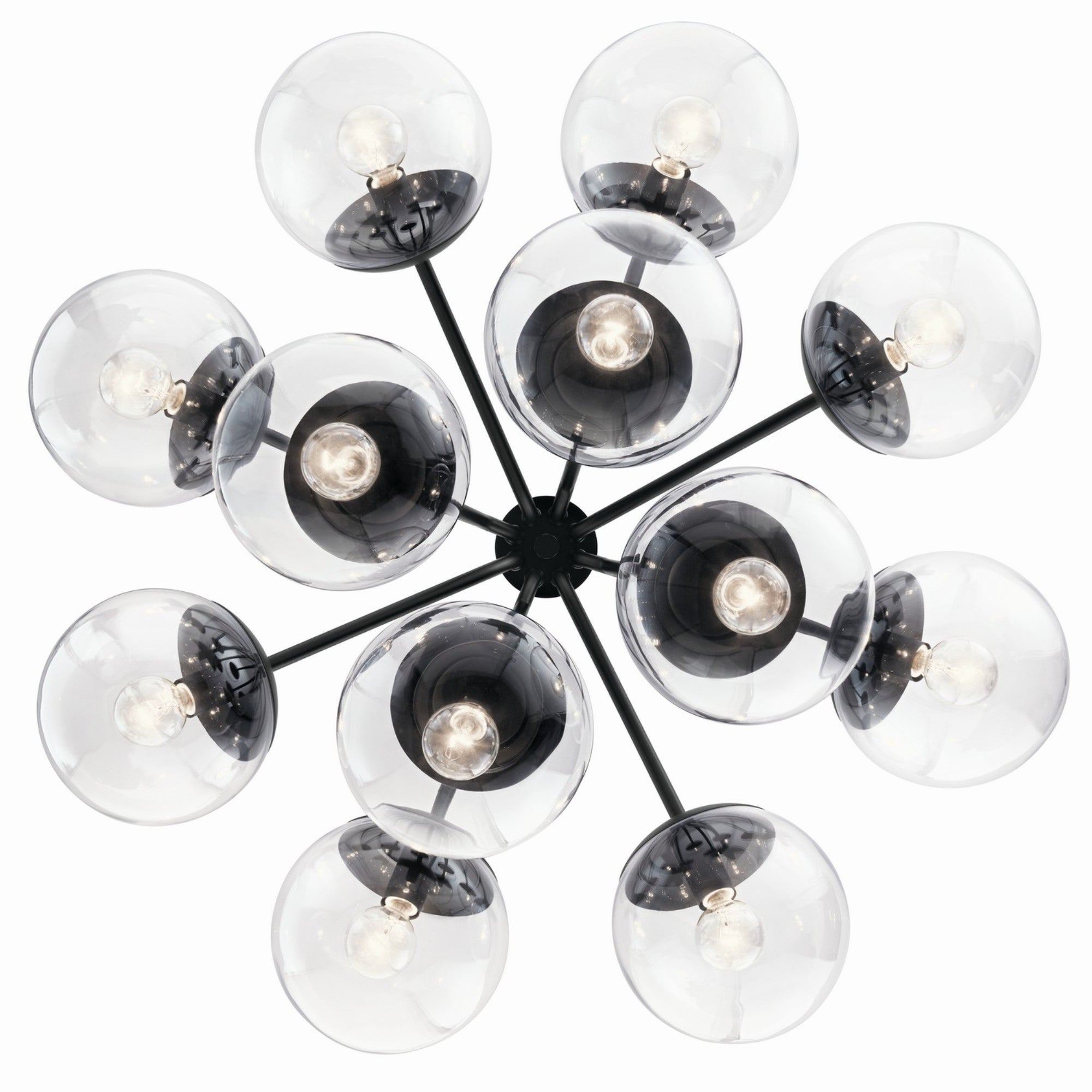 Silvarious 30" 12-Light Chandelier, Black Finish, Clear Glass - Bees Lighting