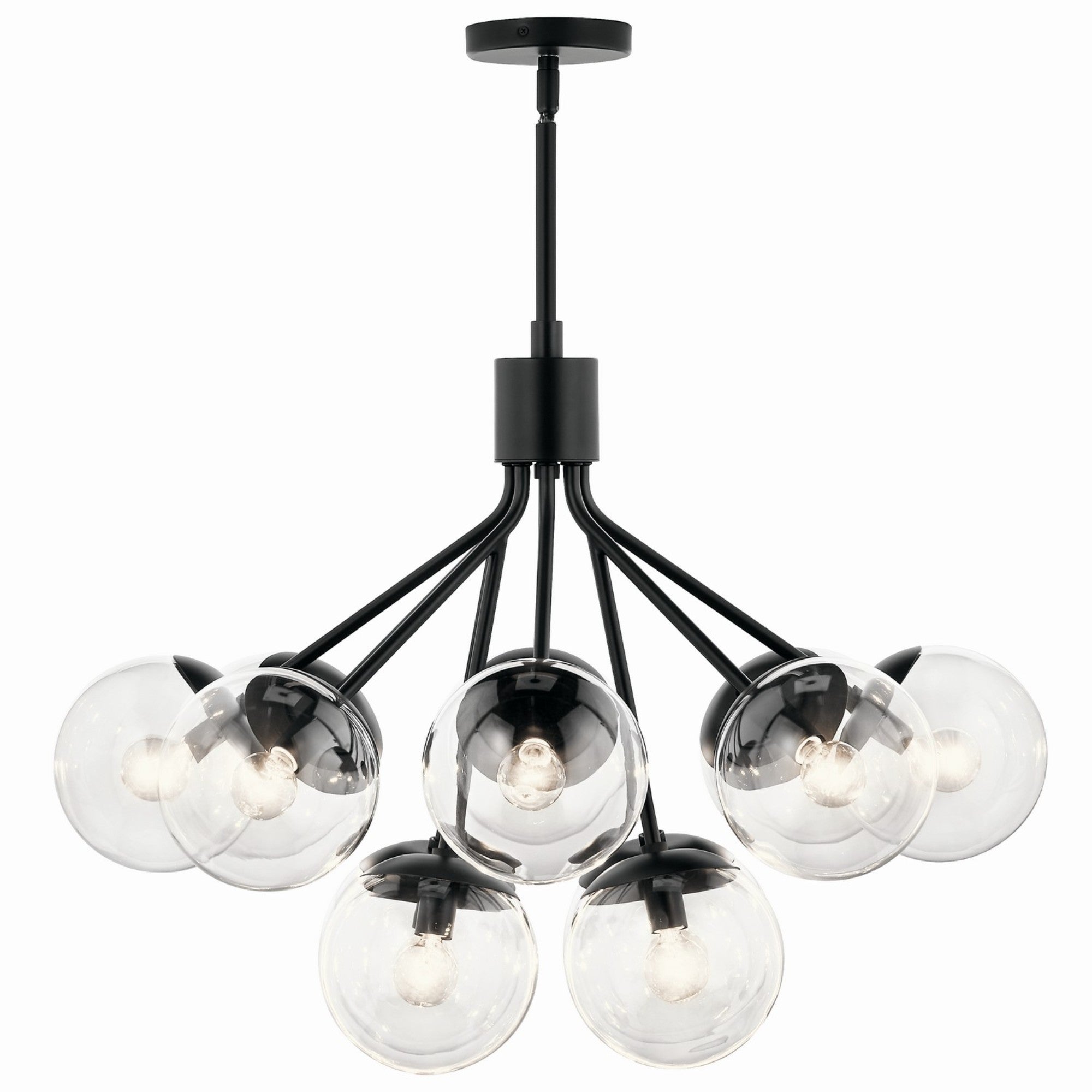 Silvarious 30" 12-Light Chandelier, Black Finish, Clear Glass - Bees Lighting