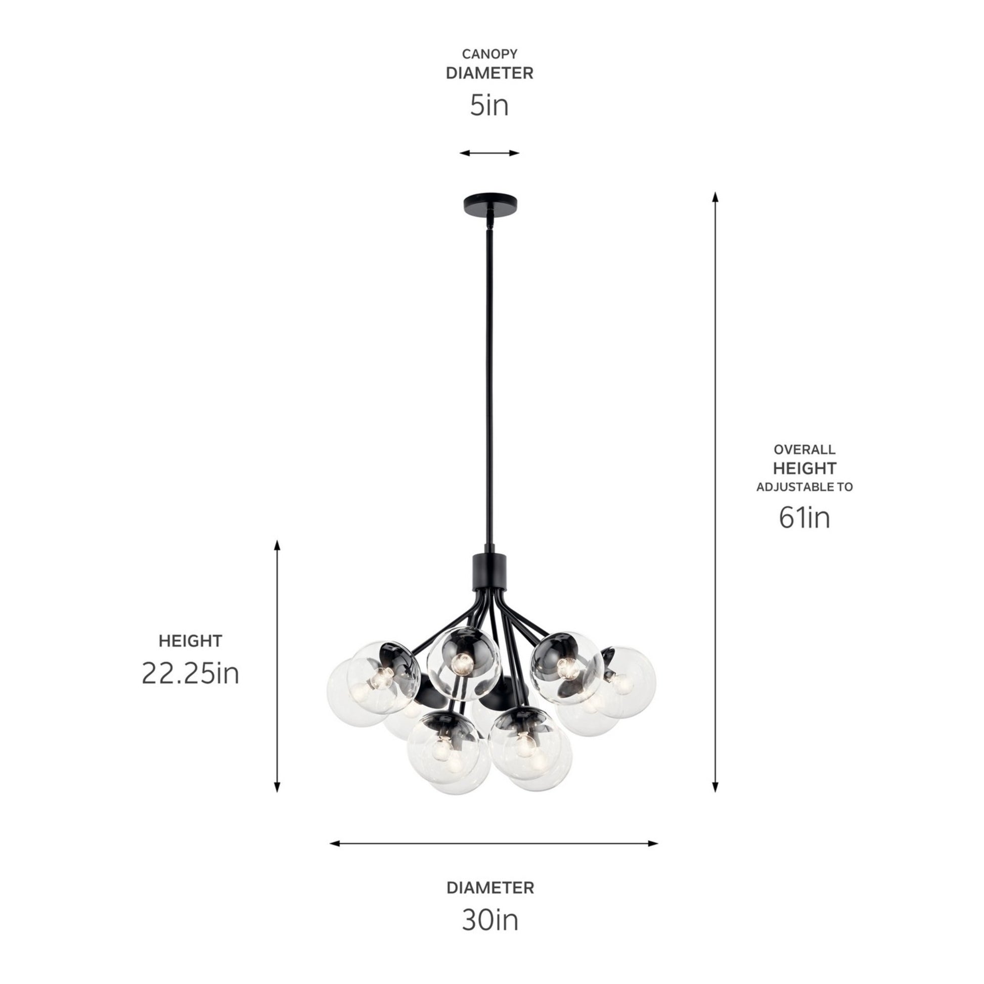 Silvarious 30" 12-Light Chandelier, Black Finish, Clear Glass - Bees Lighting