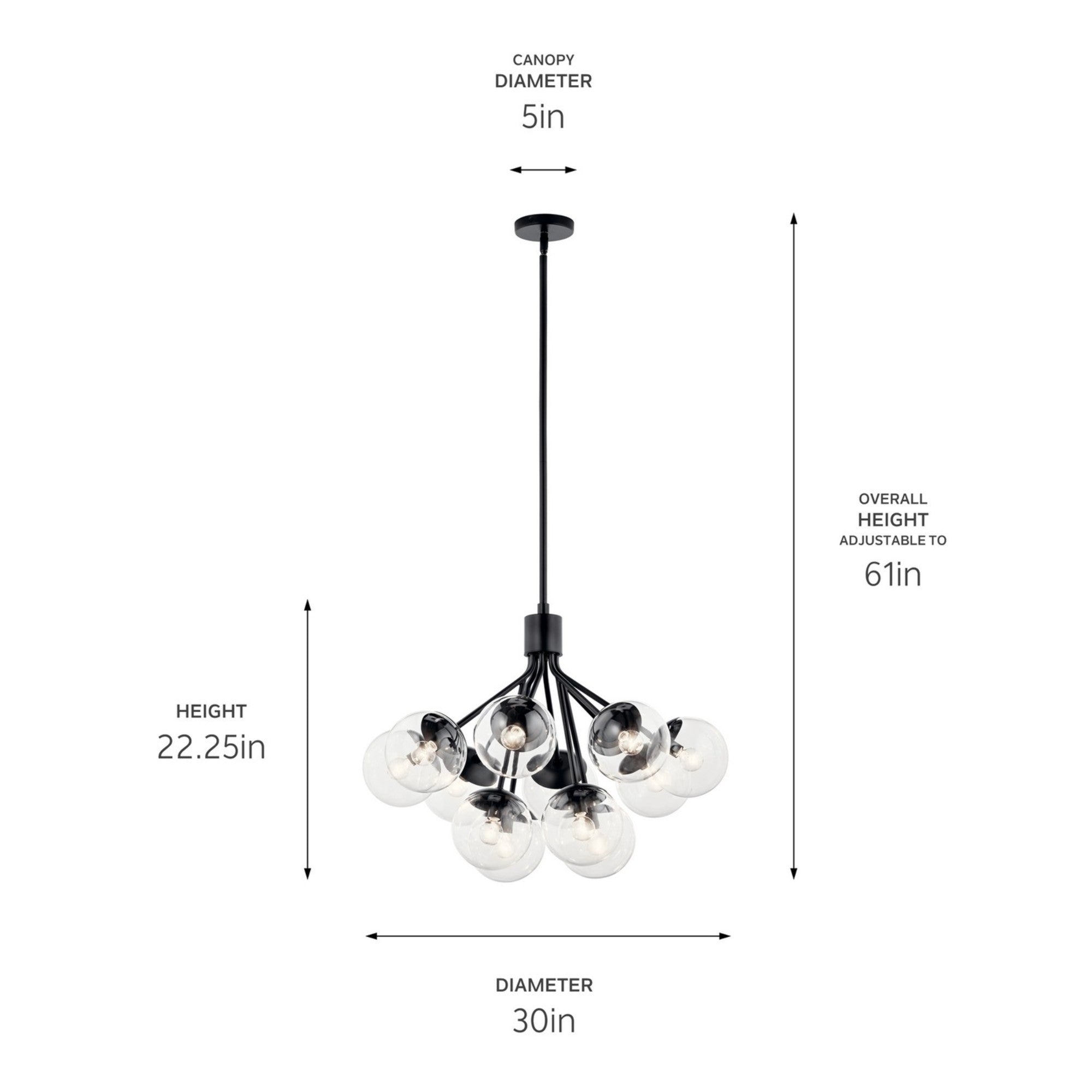 Silvarious 30" 12-Light Chandelier, Black Finish, Clear Glass - Bees Lighting