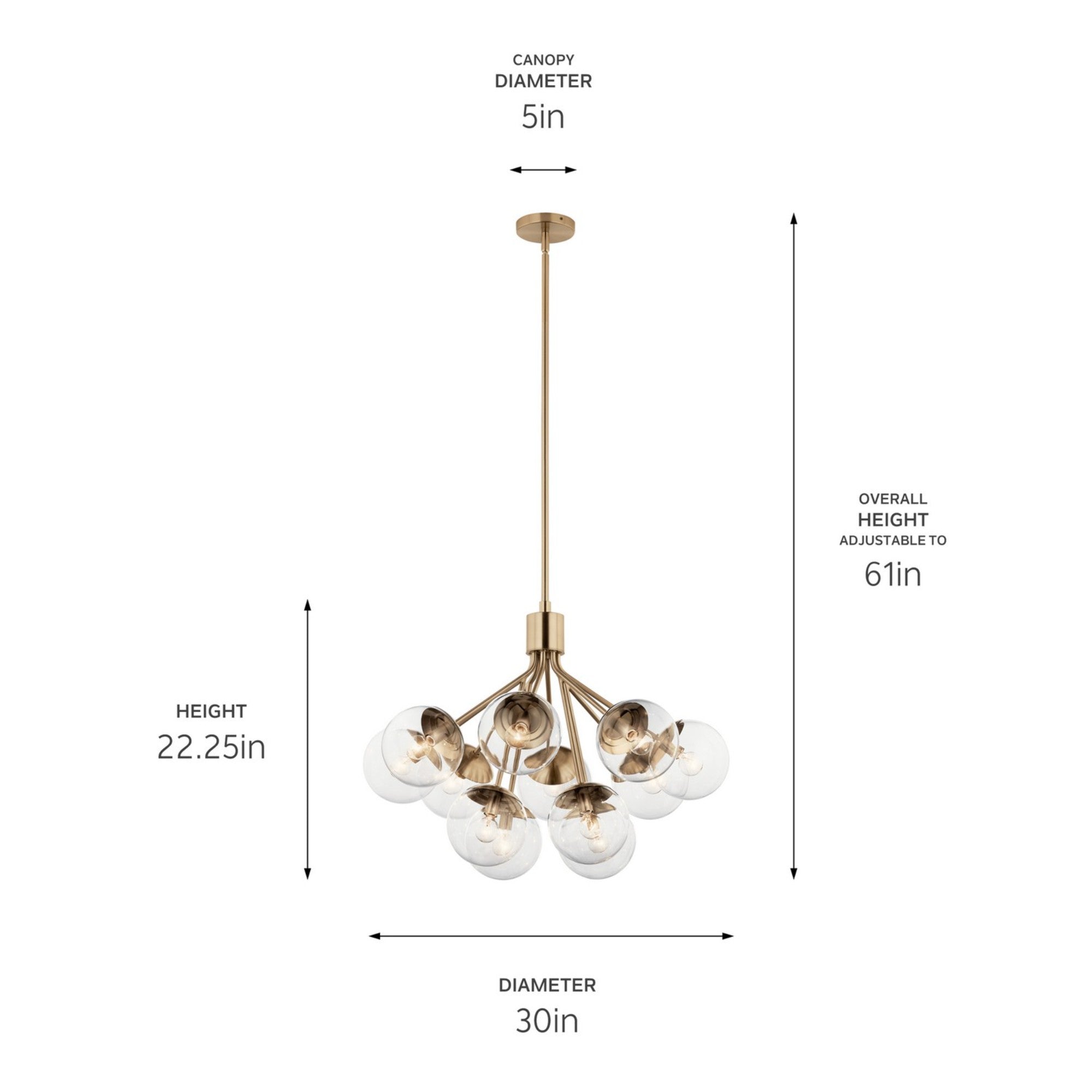 Silvarious 30" 12-Light Chandelier, Champagne Bronze Finish, Clear Glass - Bees Lighting