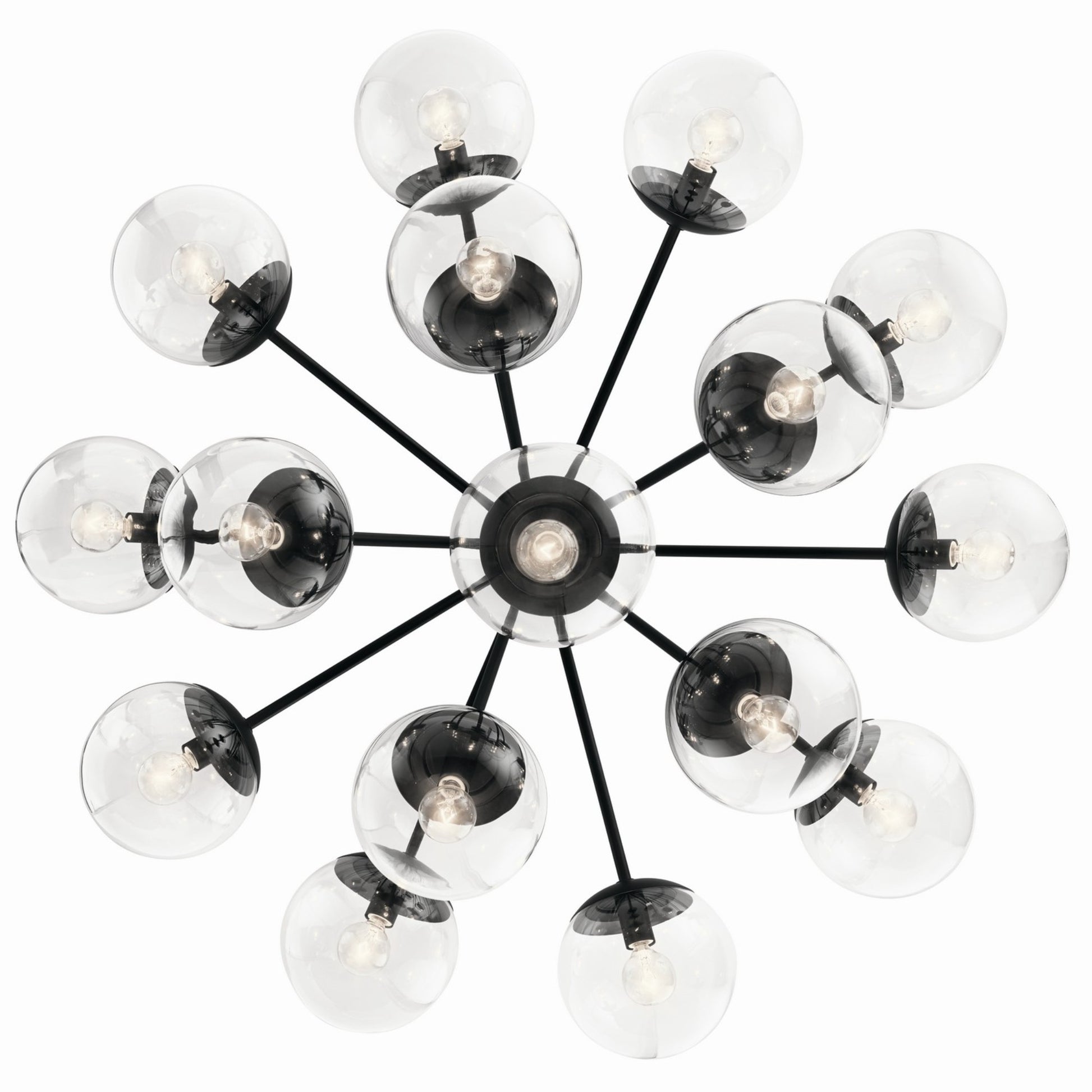 Silvarious 38" 16 Light Chandelier, Black Finish, Clear Glass - Bees Lighting