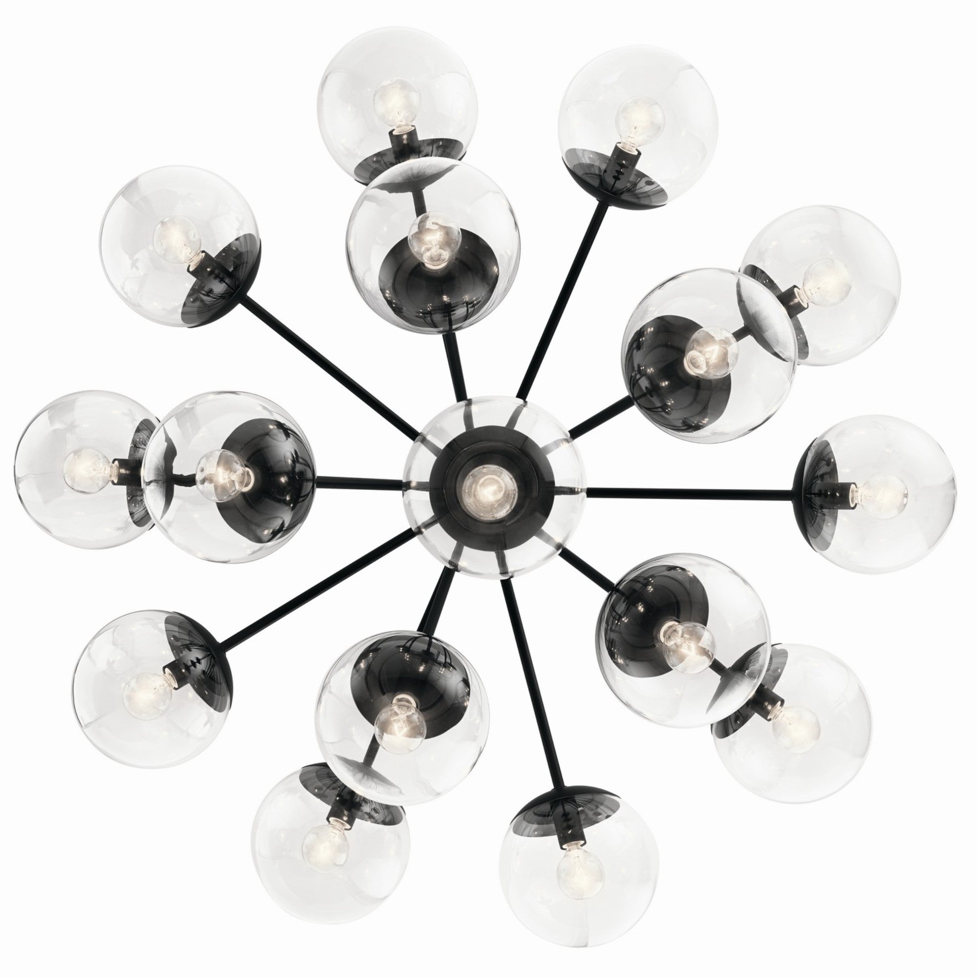 Silvarious 38" 16 Light Chandelier, Black Finish, Clear Glass - Bees Lighting