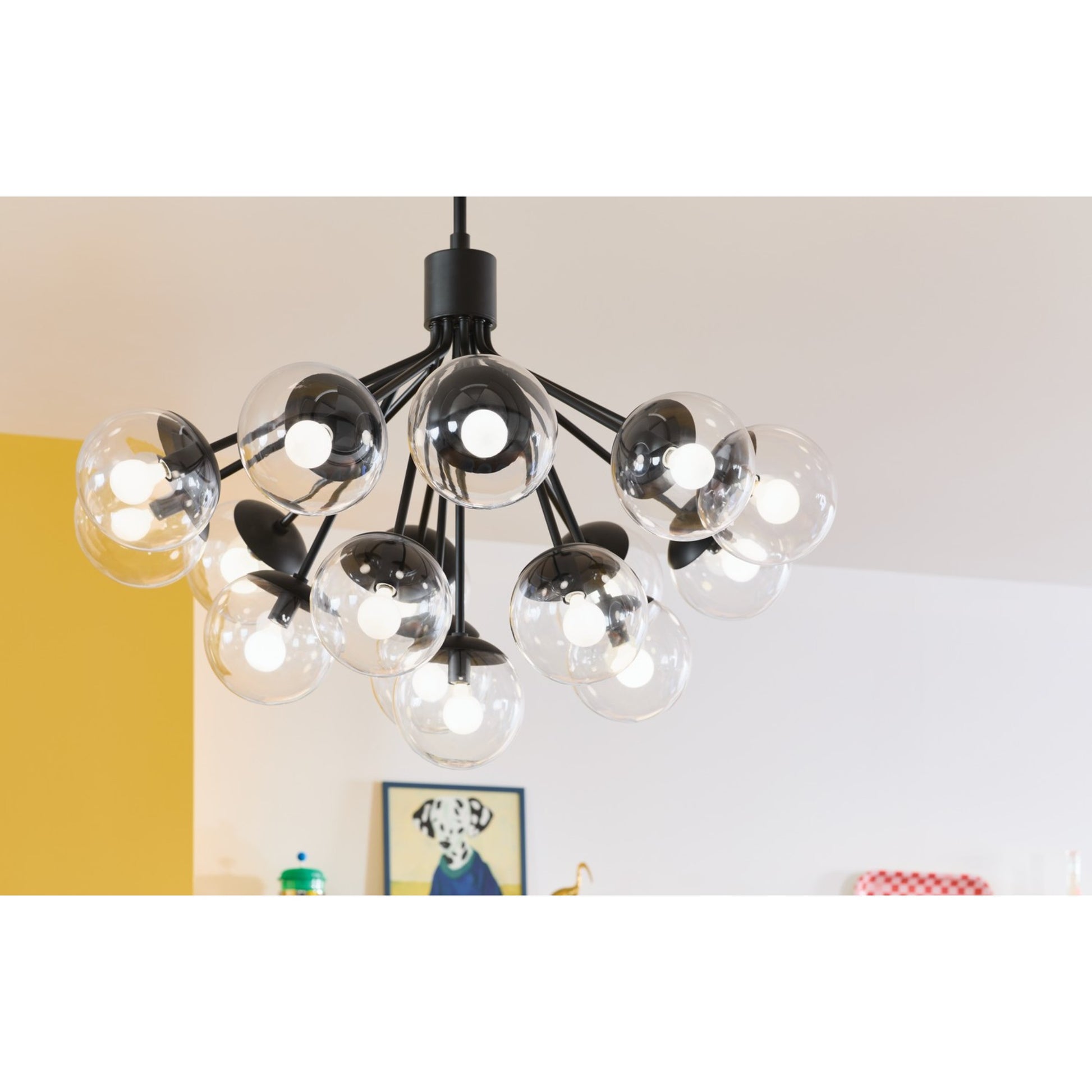 Silvarious 38" 16 Light Chandelier, Black Finish, Clear Glass - Bees Lighting