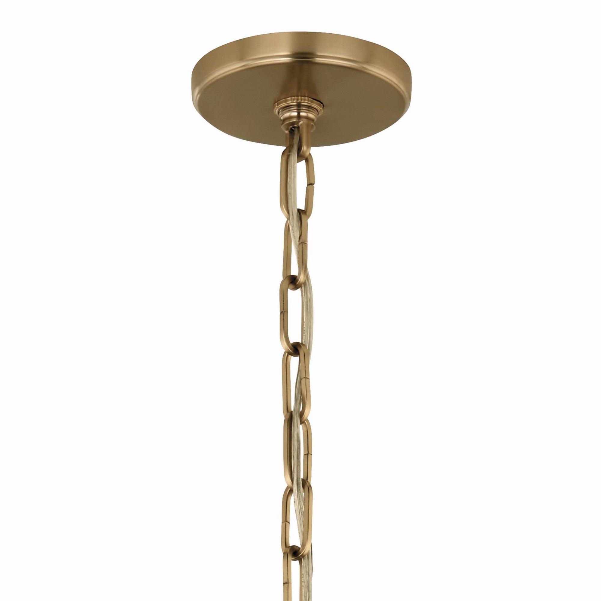 Etcher 13" Pendant, Black Finish - Bees Lighting