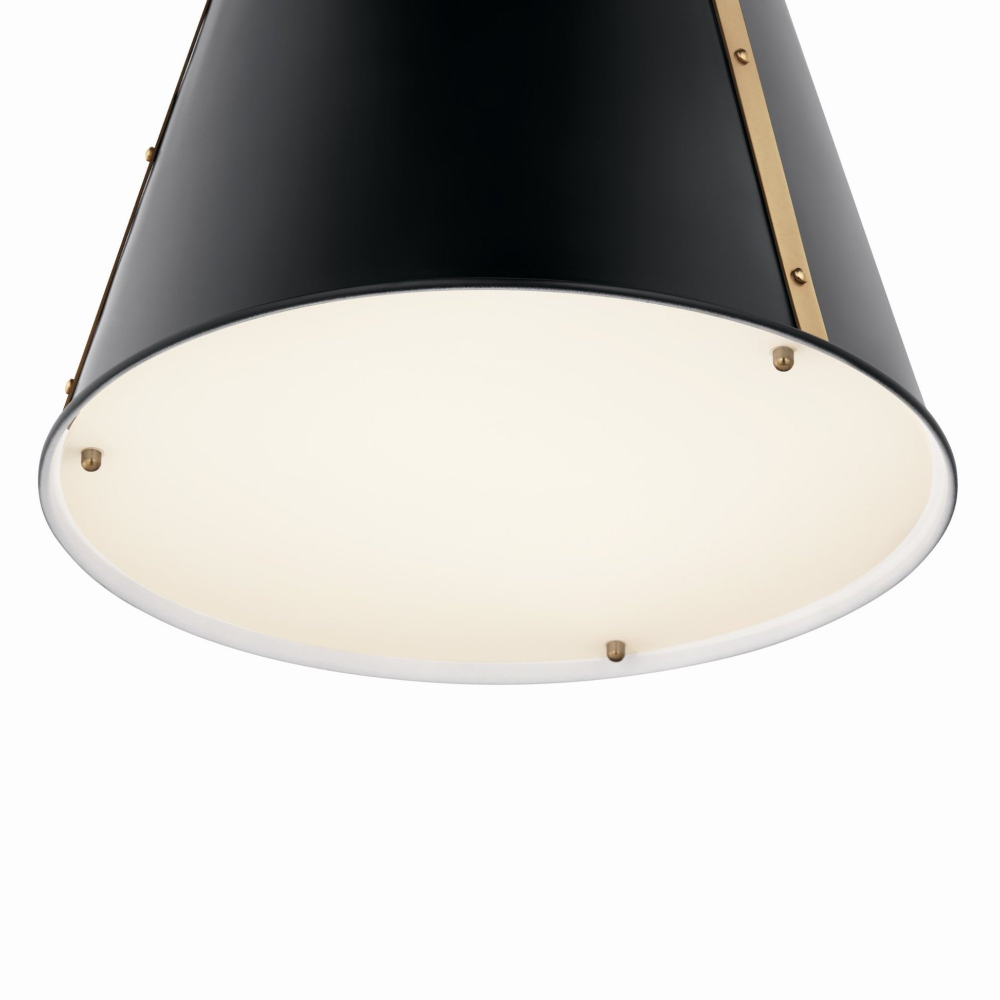 Etcher 13" Pendant, Black Finish - Bees Lighting