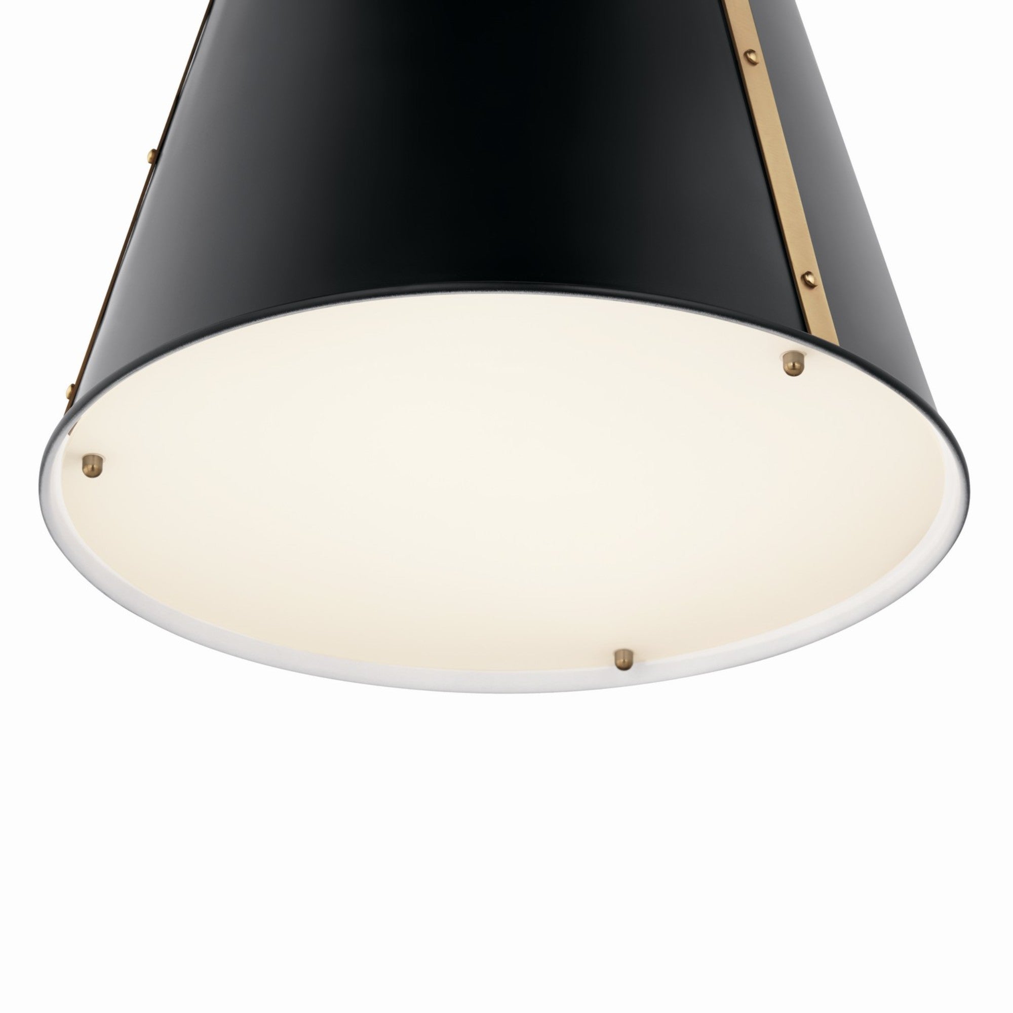 Etcher 13" Pendant, Black Finish - Bees Lighting