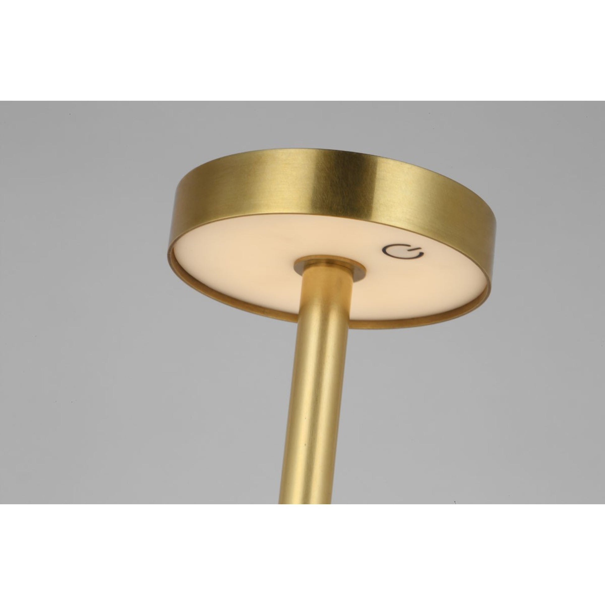 Moneta Medium Rechargeable Floor Lamp, Hand Rubbed Antique Brass Finish - Bees Lighting
