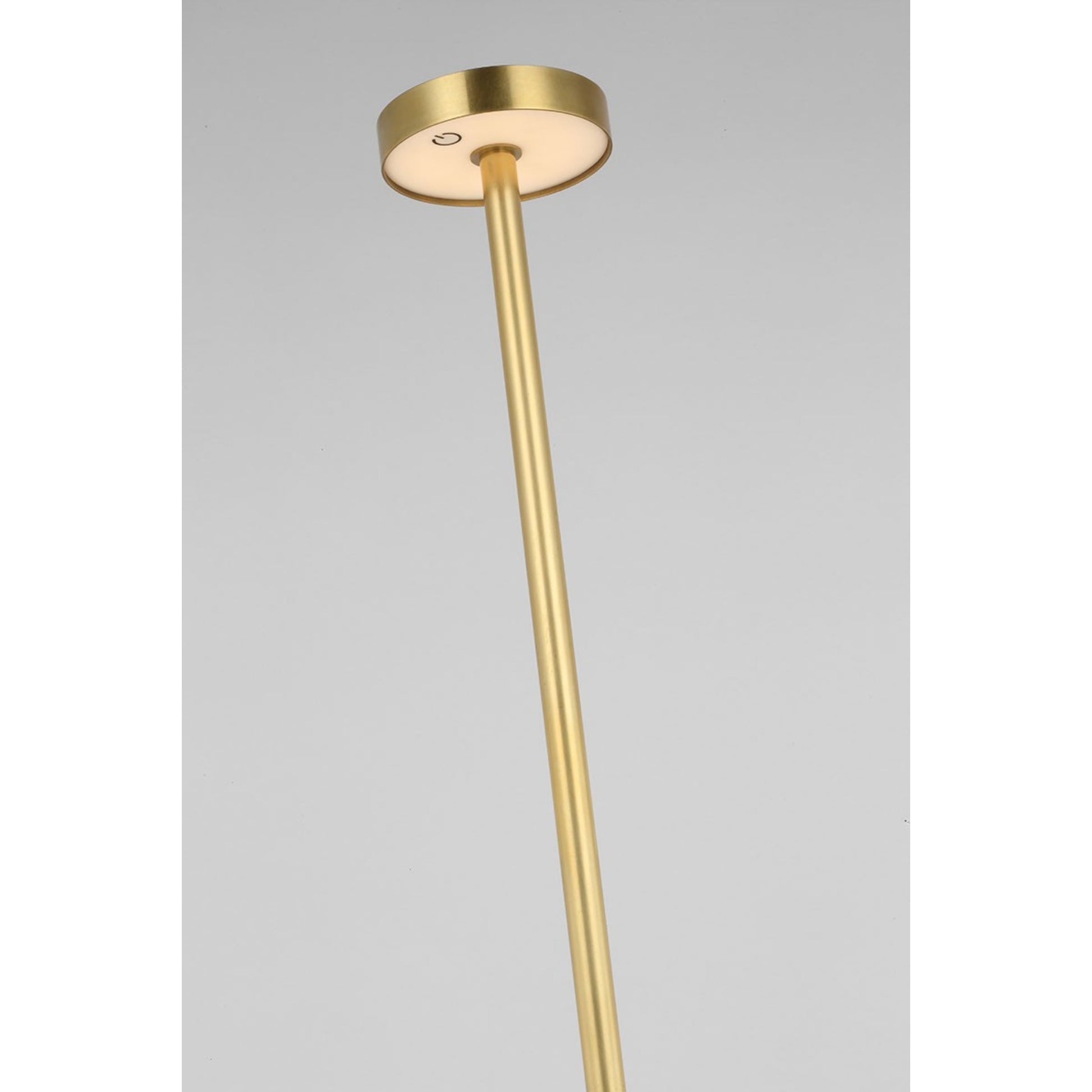 Moneta Medium Rechargeable Floor Lamp, Hand Rubbed Antique Brass Finish - Bees Lighting