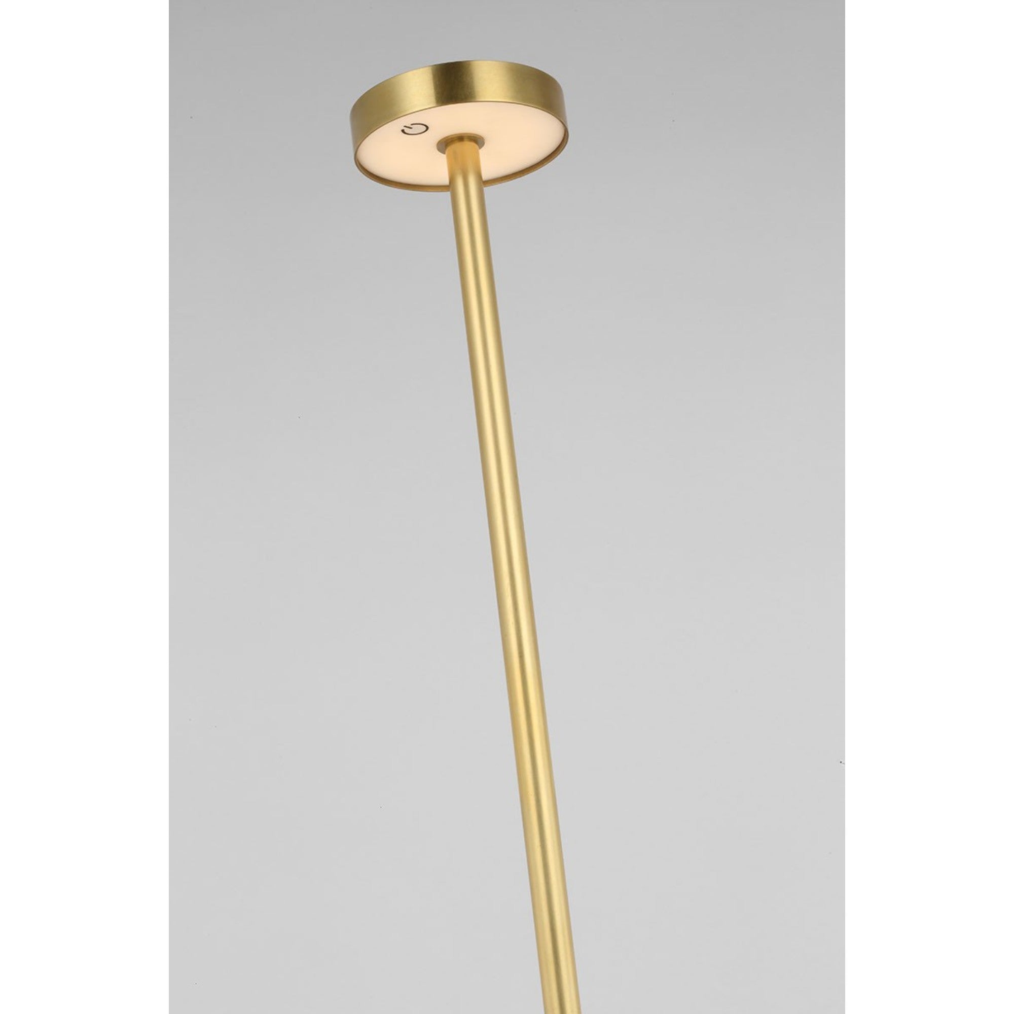 Moneta Medium Rechargeable Floor Lamp, Hand Rubbed Antique Brass Finish - Bees Lighting