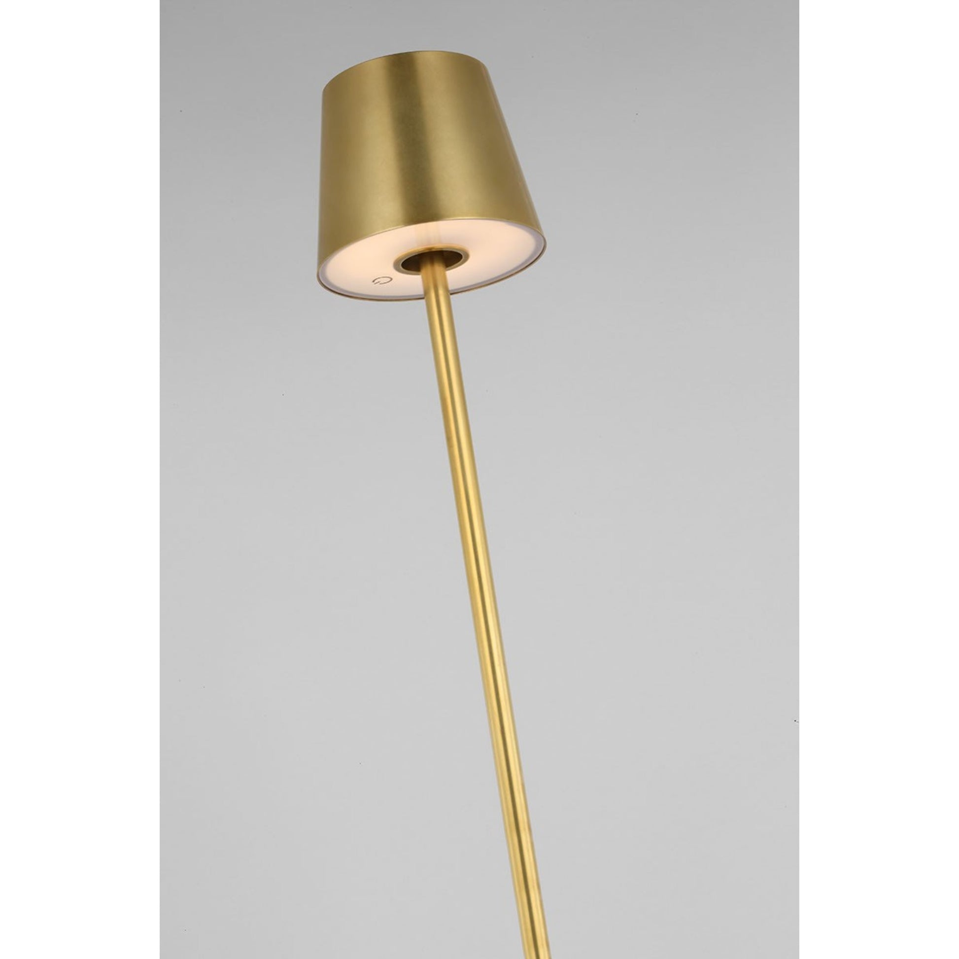 Nevis Rechargeable Floor Lamp, Hand Rubbed Antique Brass Finish - Bees Lighting