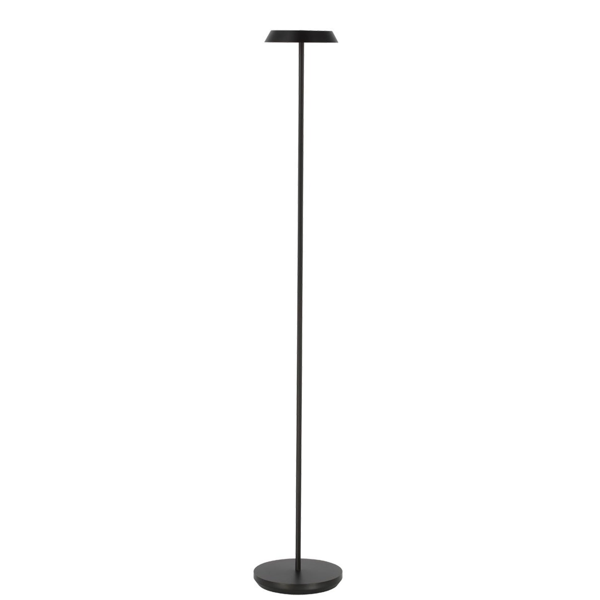 Tepa Medium Rechargeable Floor Lamp, 120-240V, Black Finish - Bees Lighting
