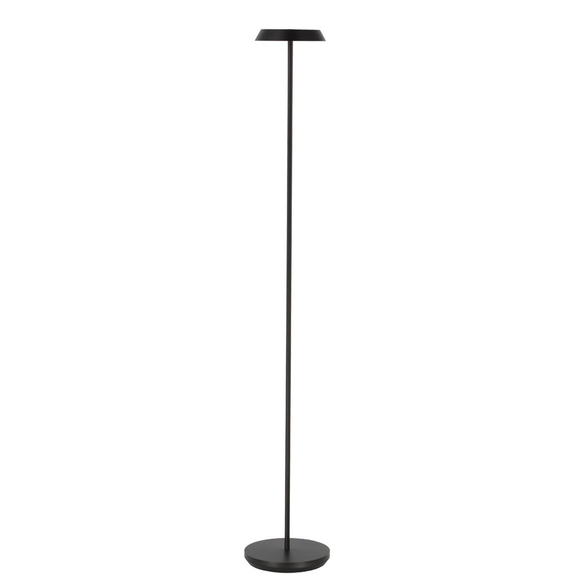 Tepa Medium Rechargeable Floor Lamp, 120-240V, Black Finish - Bees Lighting