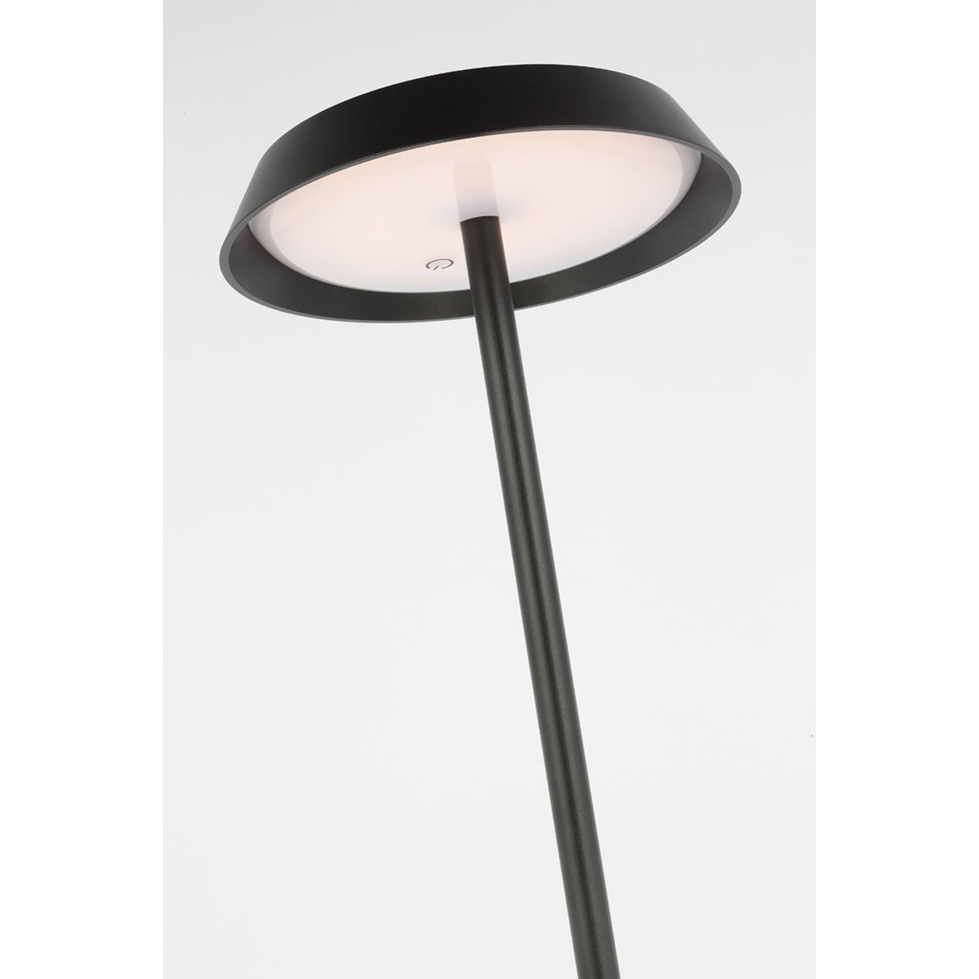 Tepa Medium Rechargeable Floor Lamp, 120-240V, Black Finish - Bees Lighting
