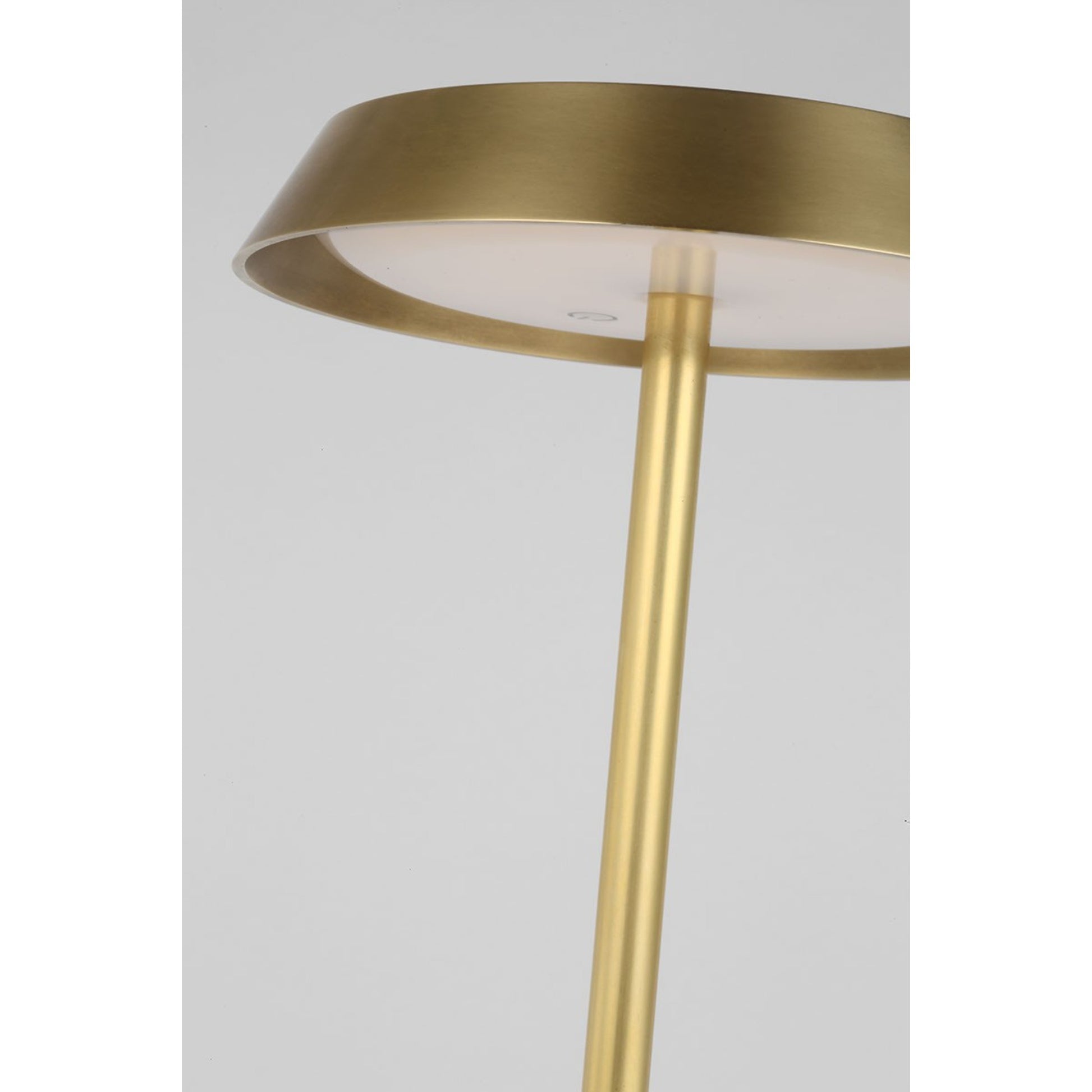 Tepa Medium Rechargeable Floor Lamp, 120-240V, Hand Rubbed Antique Brass Finish - Bees Lighting