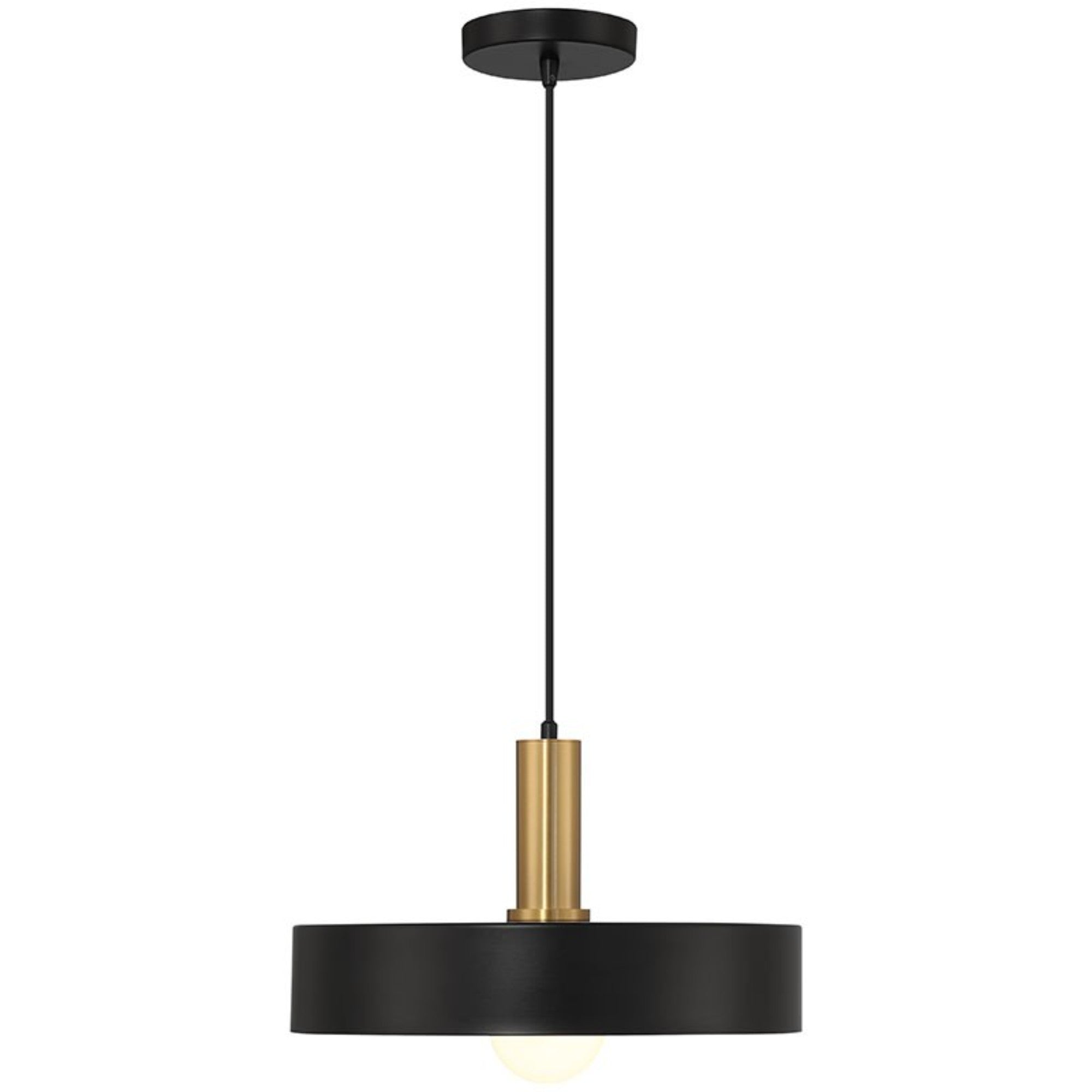 Slate 14" Pendant, Black with Antique Brushed Brass Finish - Bees Lighting