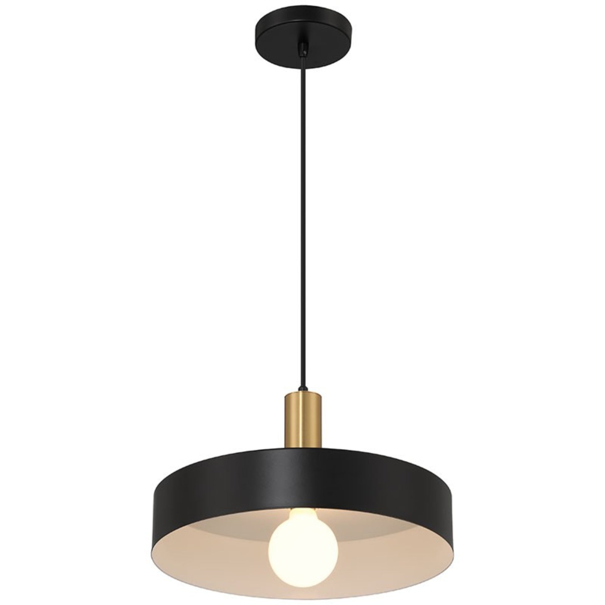 Slate 14" Pendant, Black with Antique Brushed Brass Finish - Bees Lighting