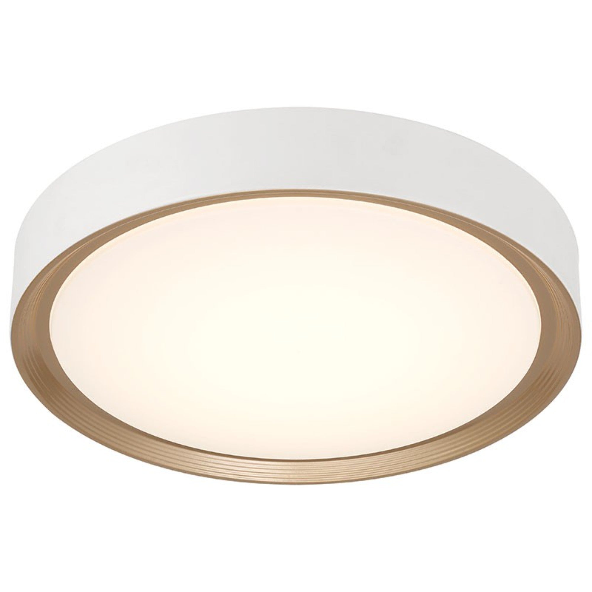 Malaga Color Selectable 24" LED Flush Mount, Matte White Finish