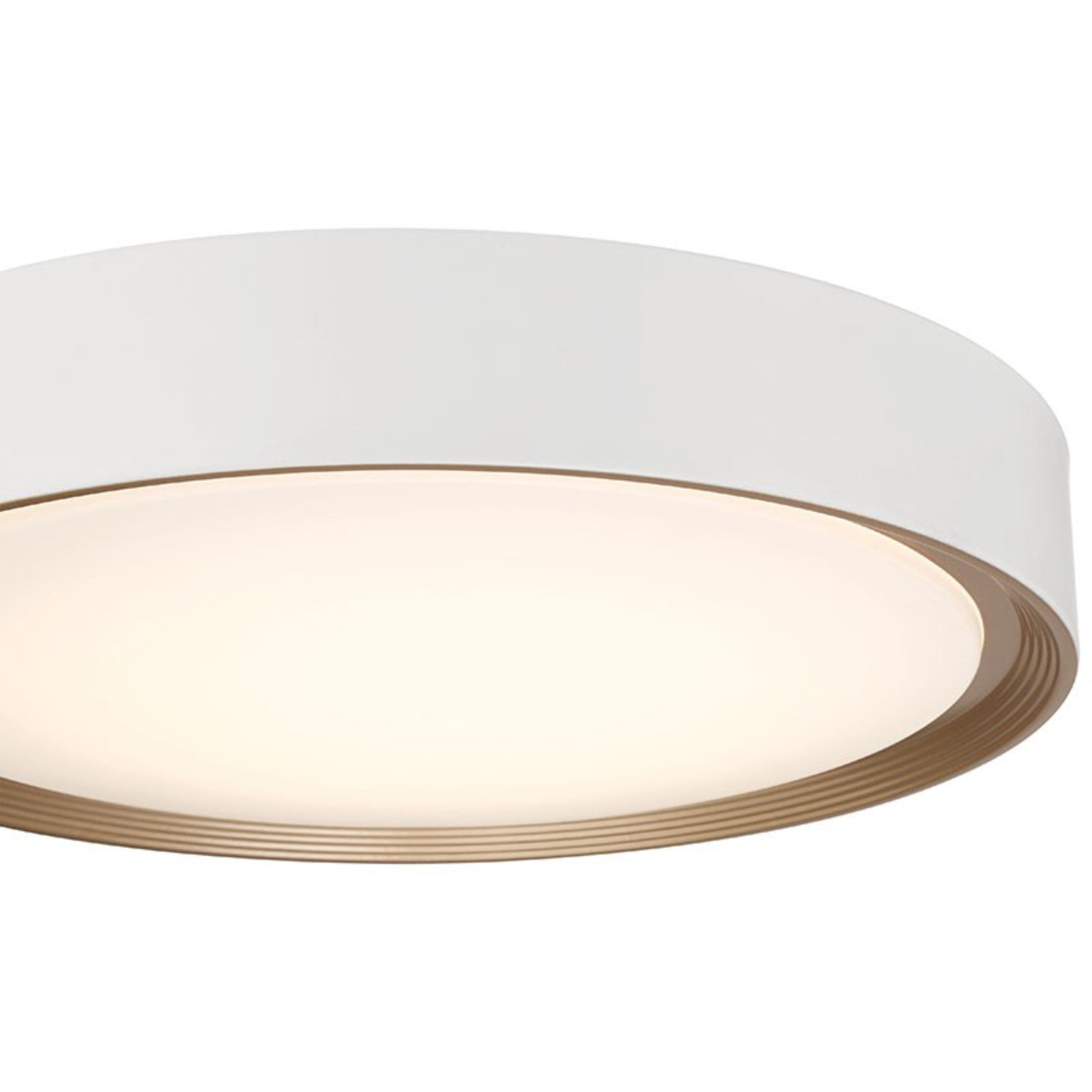 Malaga Color Selectable 24" LED Flush Mount, Matte White Finish
