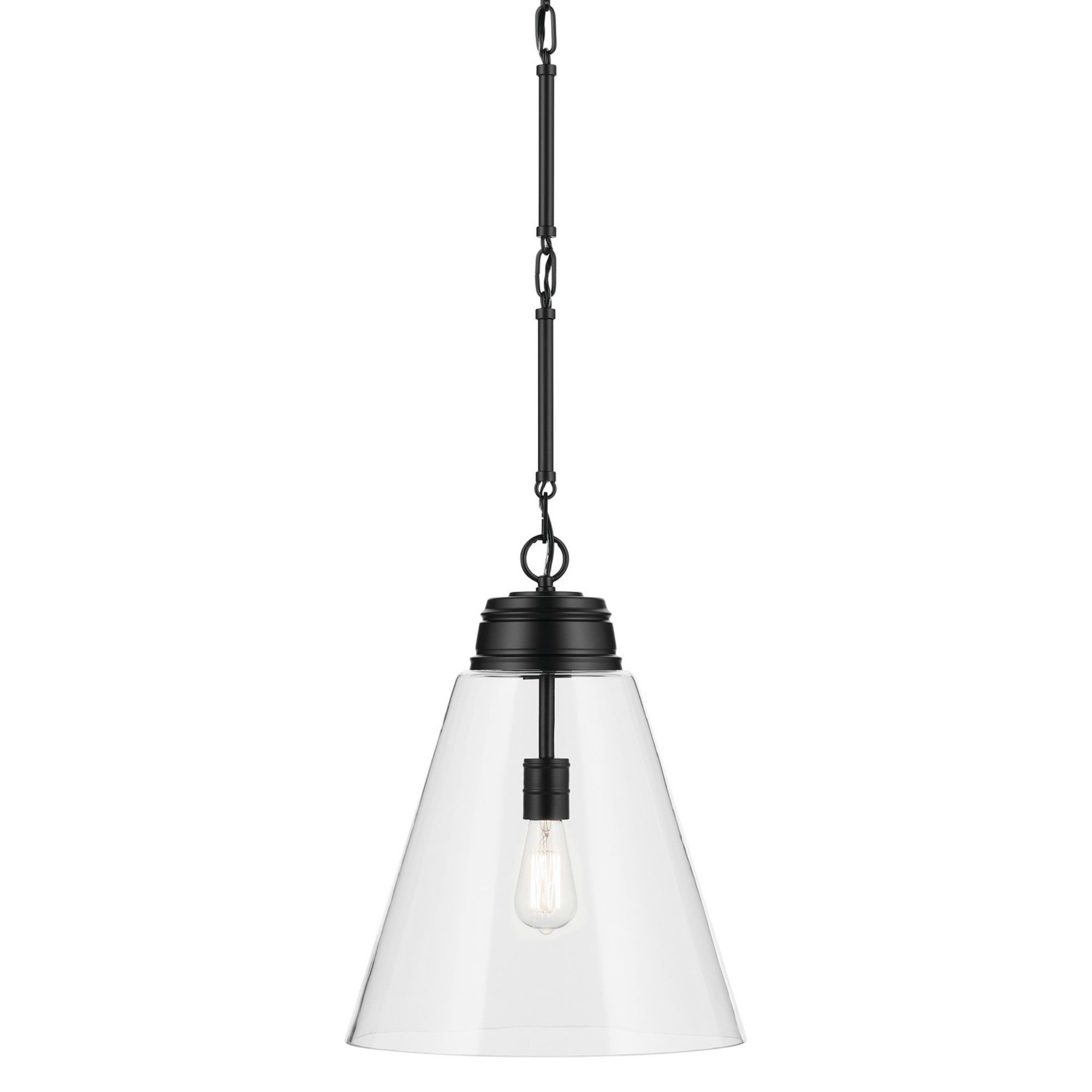 Marsailli 16" Pendant, Black Finish, Clear Glass - Bees Lighting
