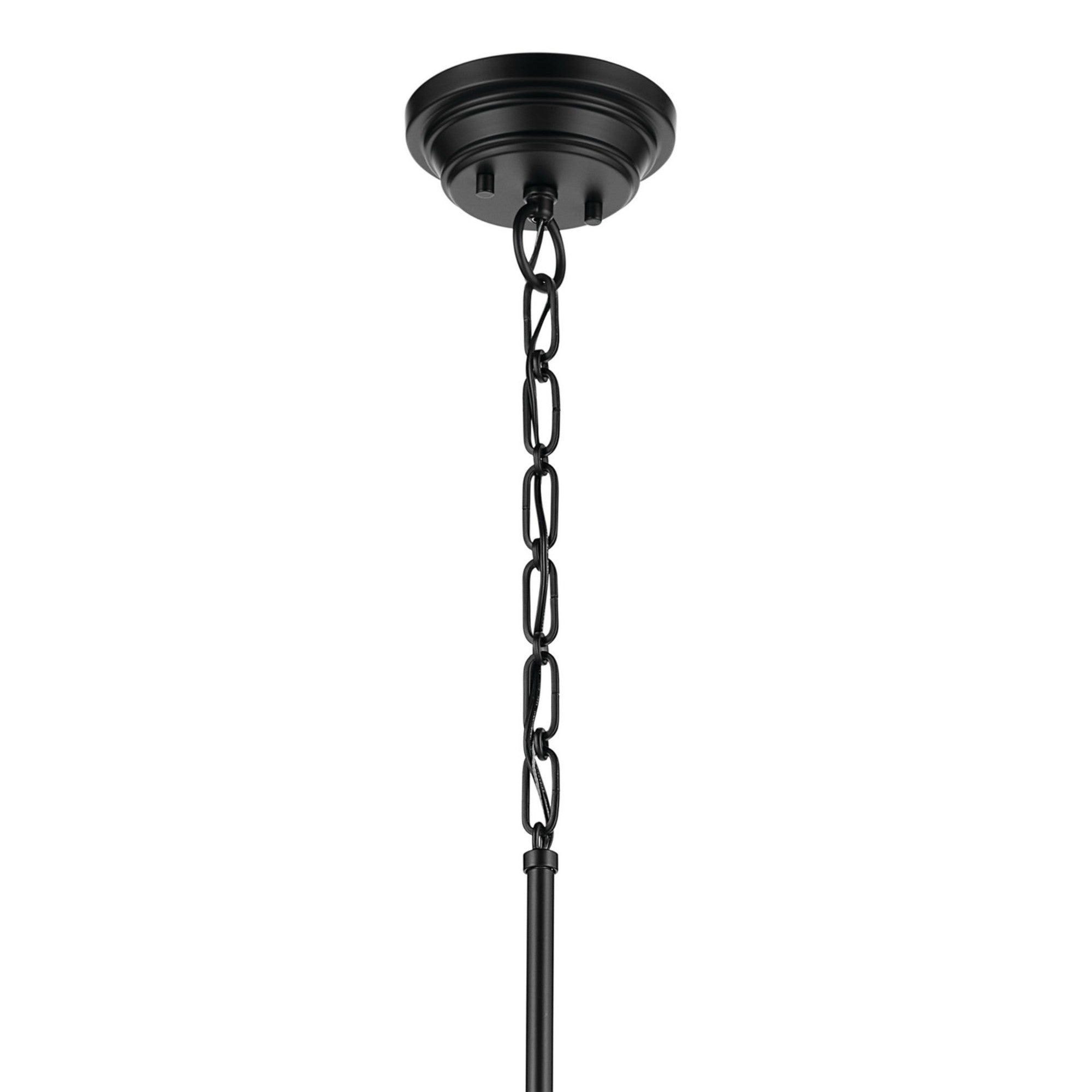 Marsailli 16" Pendant, Black Finish, Clear Glass - Bees Lighting